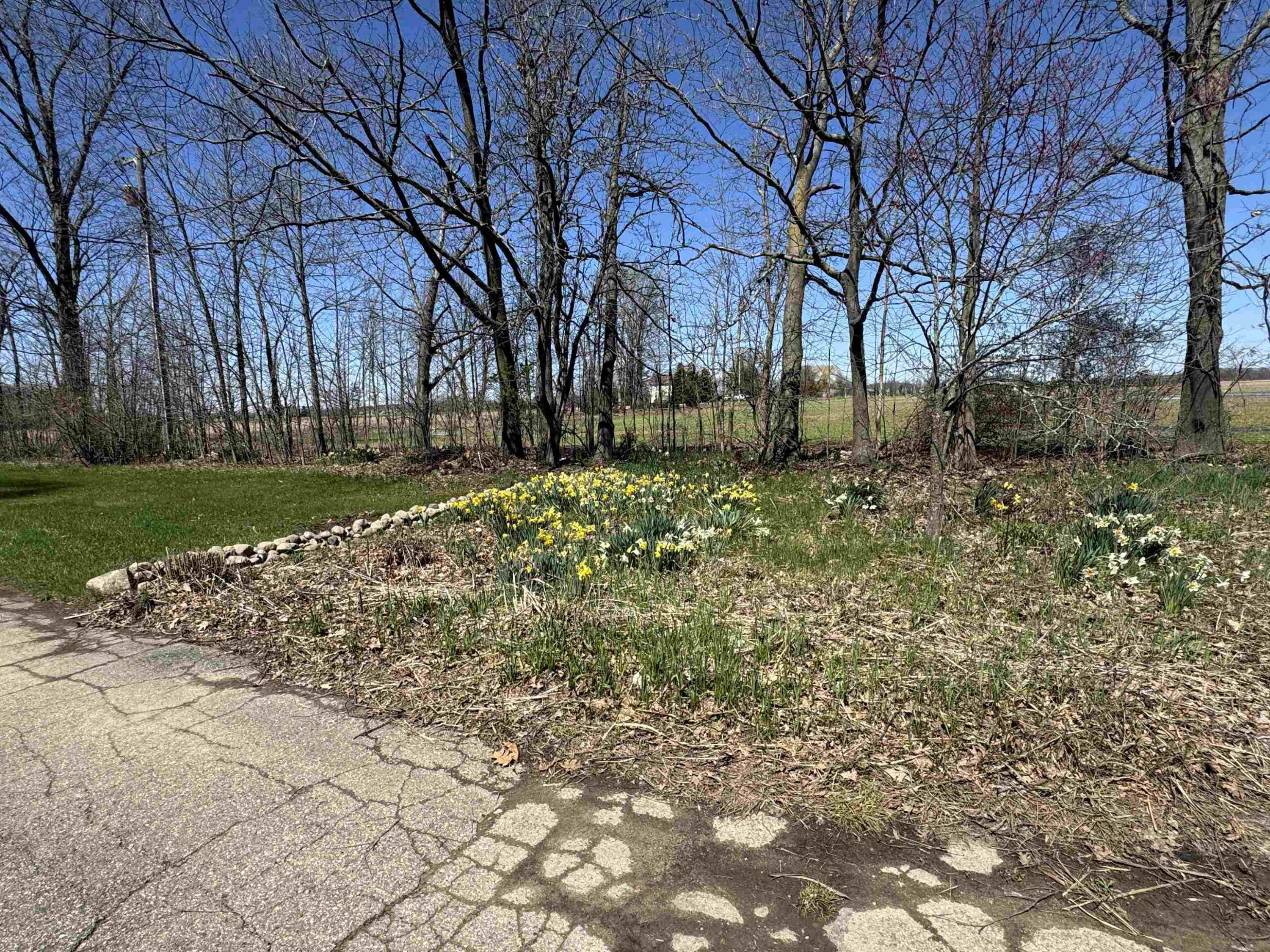 3492 N Ridley Road, Owosso, MI 48867 — Photo 70