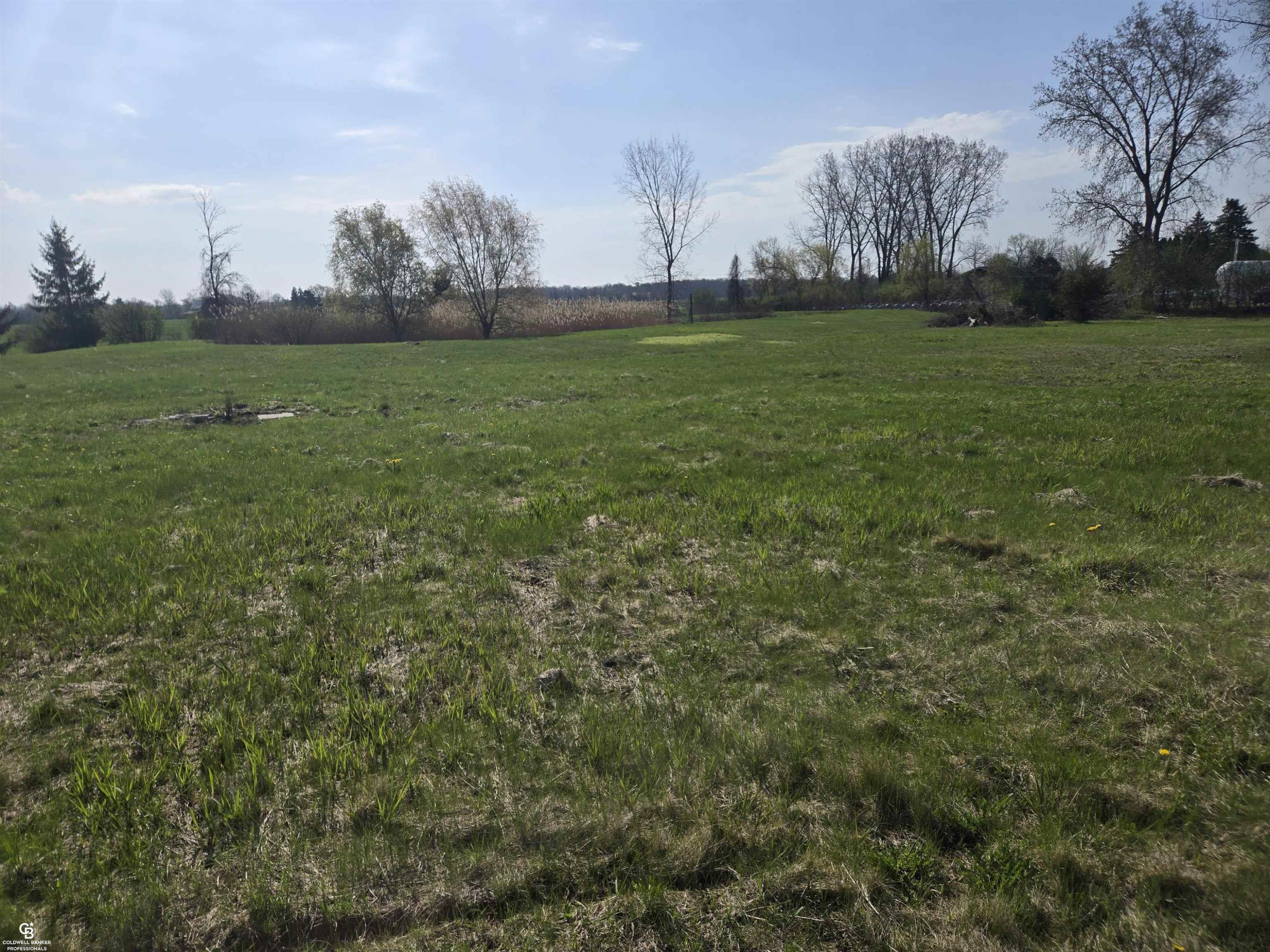 0 Brockway VL Road, Yale, MI 48097 — Photo 9
