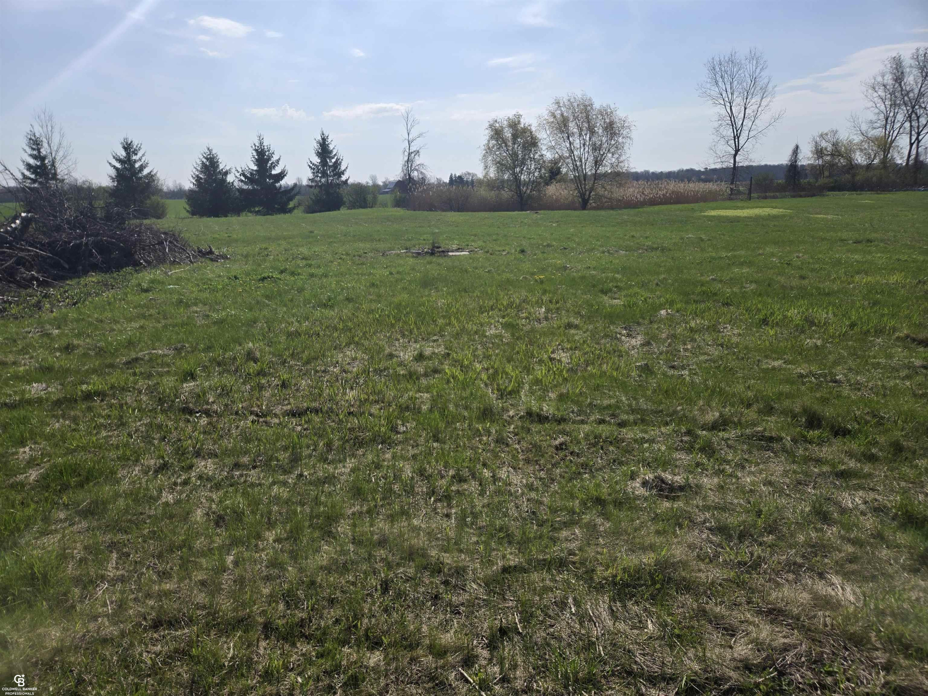 00 Brockway VL Road, Yale, MI 48097 — Photo 3