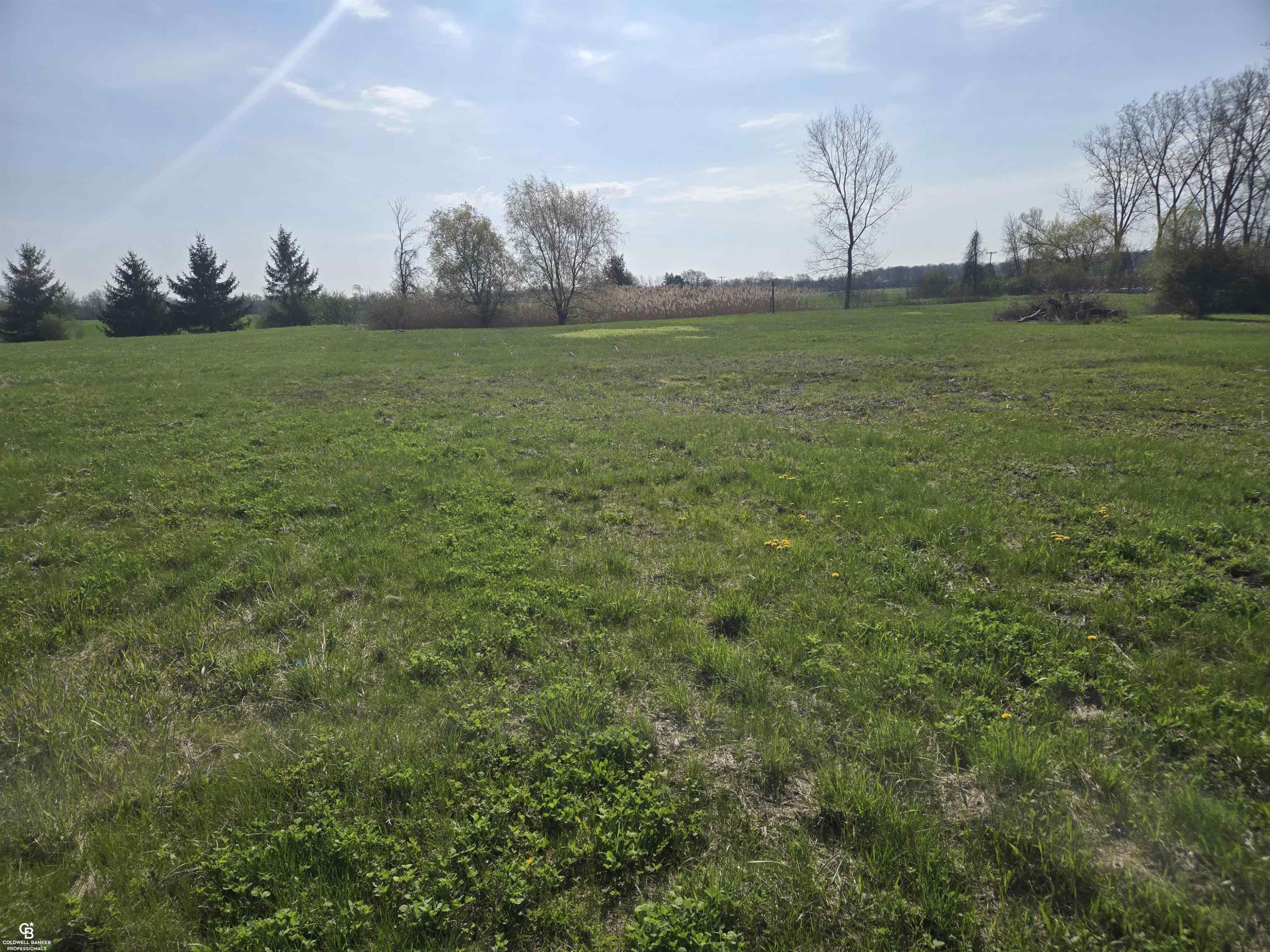 00 Brockway VL Road, Yale, MI 48097 — Photo 5