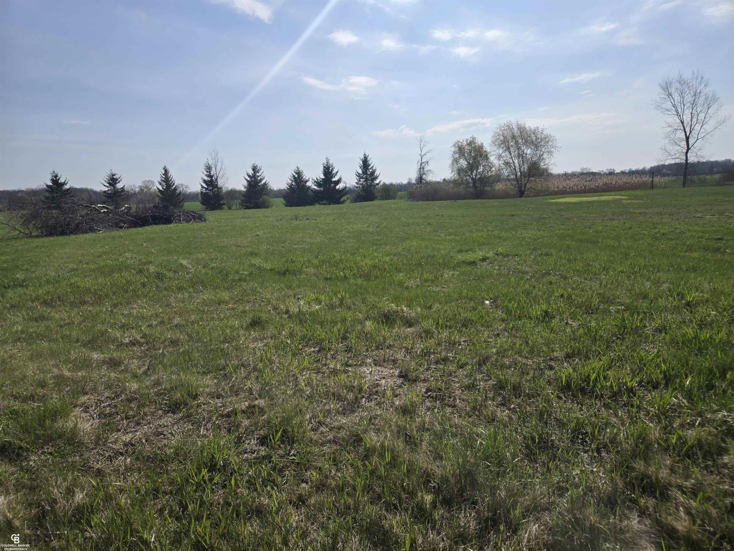 00 Brockway VL Road, Yale, MI 48097 — Photo 7