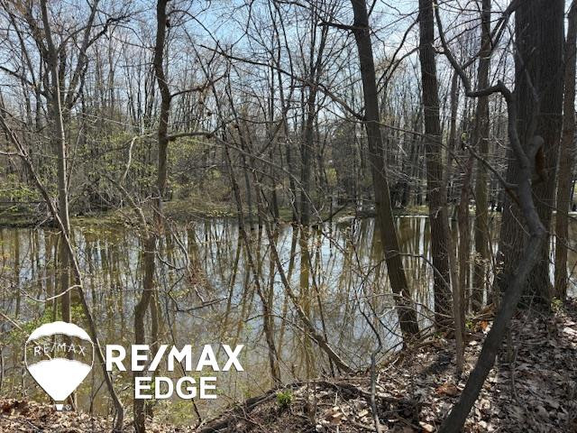 244 W Burnside Road, Fostoria, MI 48435 — Photo 29