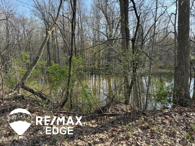 244 W Burnside Road, Fostoria, MI 48435 — Photo 30
