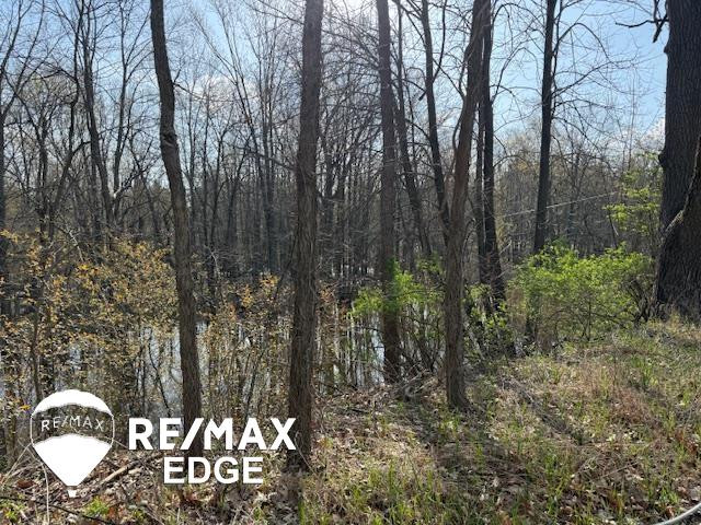 244 W Burnside Road, Fostoria, MI 48435 — Photo 32