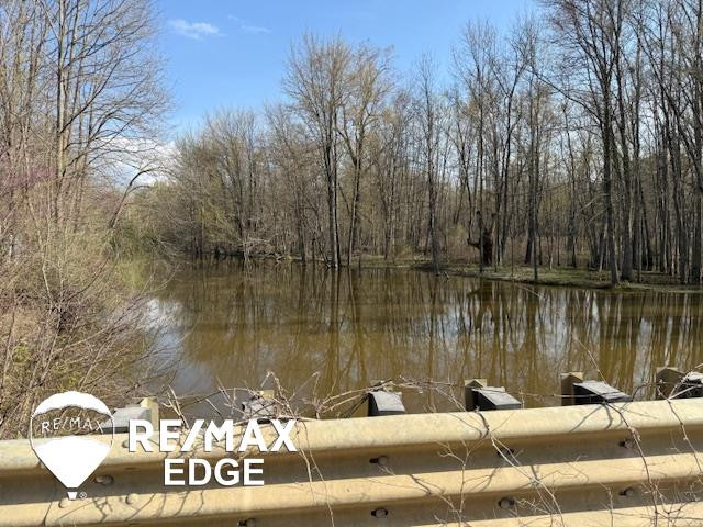 244 W Burnside Road, Fostoria, MI 48435 — Photo 33