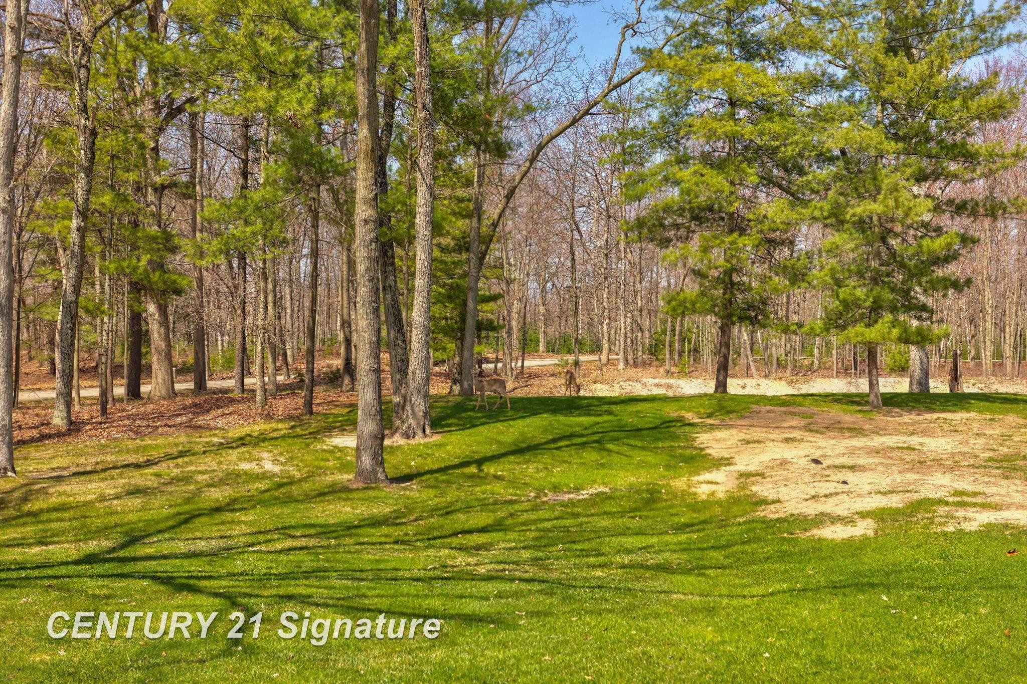 5728 Tipperary Drive, Caseville, MI 48725 — Photo 51