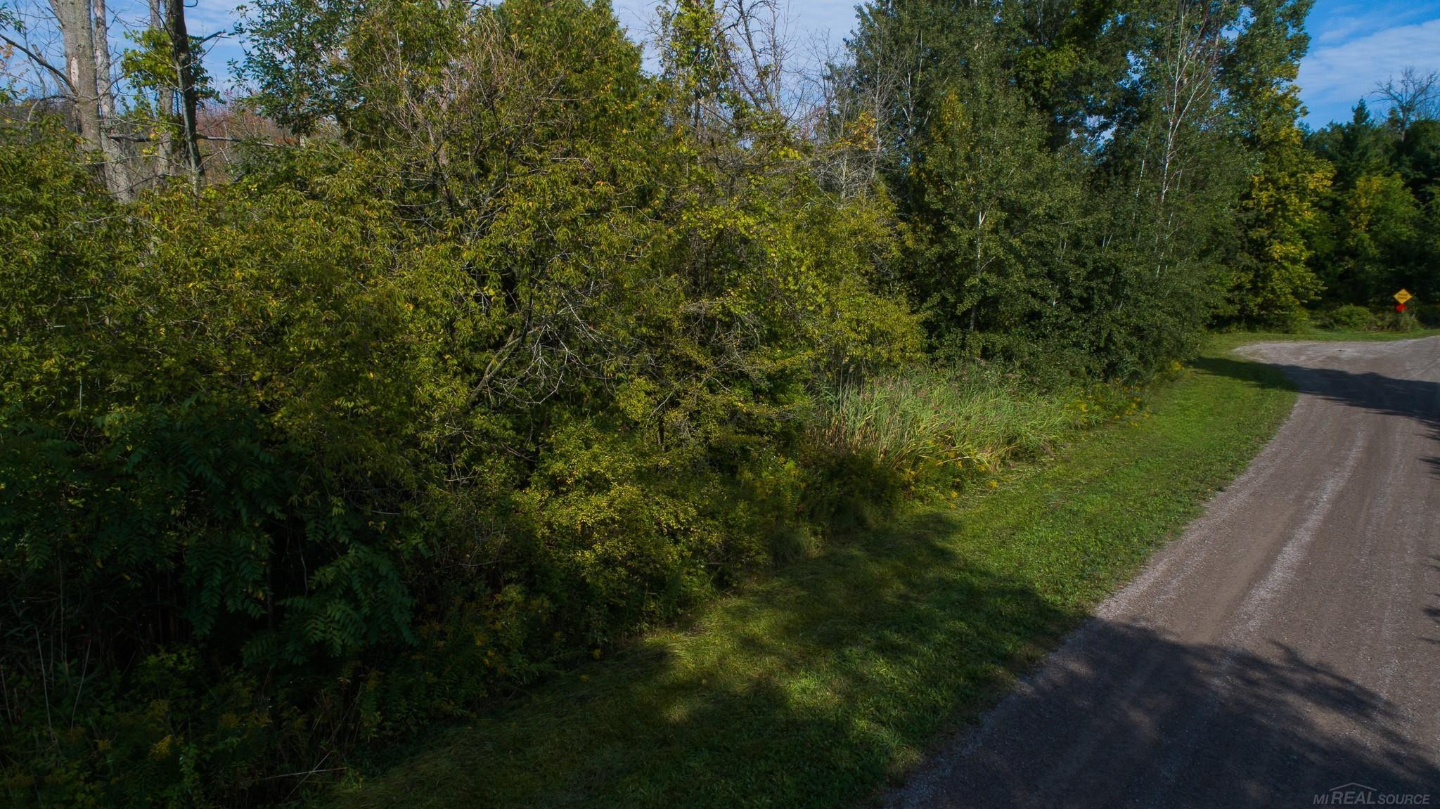 Lakeview Drive, Harbor Beach, MI 48441 — Photo 2