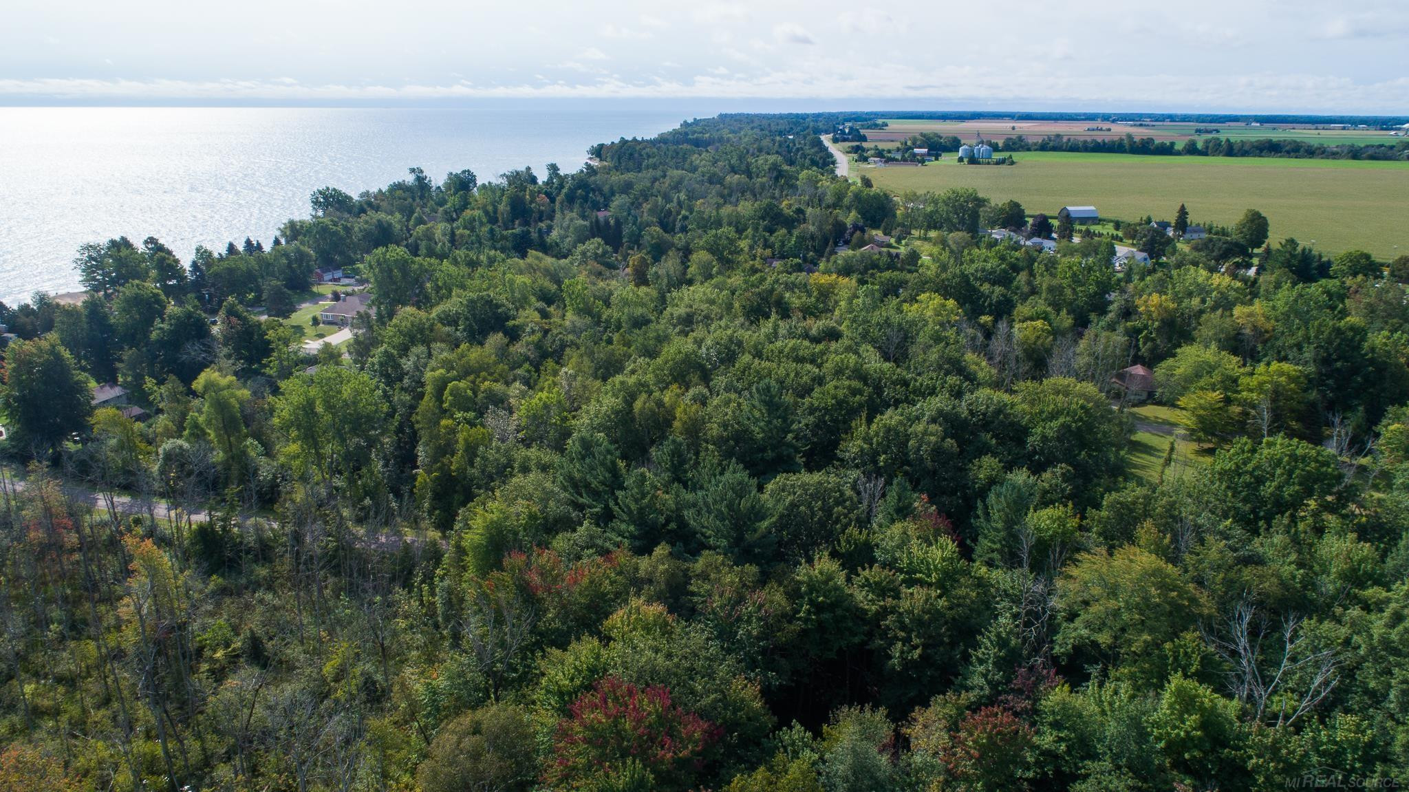 Lakeview Drive, Harbor Beach, MI 48441 — Photo 12