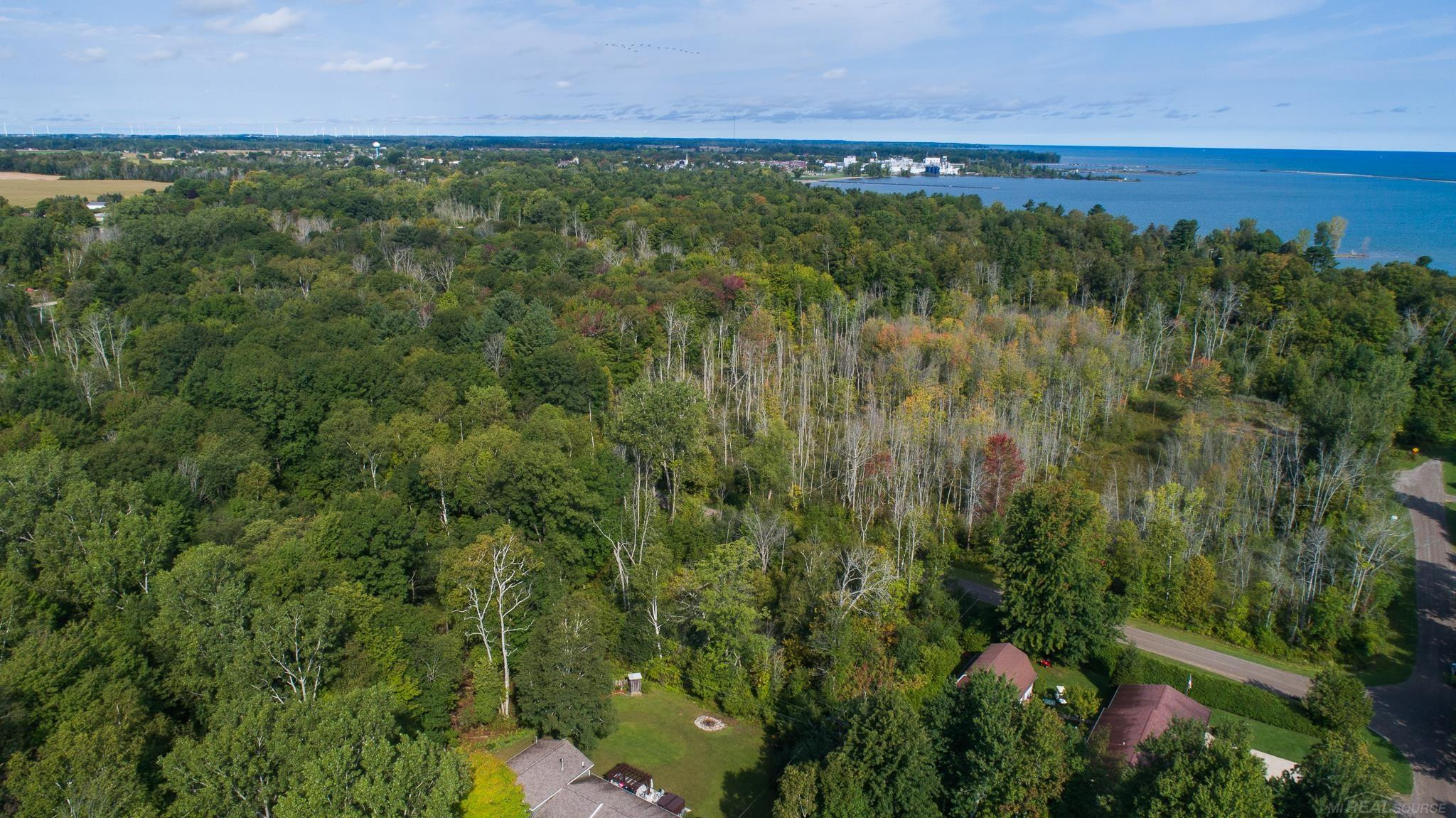 Lakeview Drive, Harbor Beach, MI 48441 — Photo 13