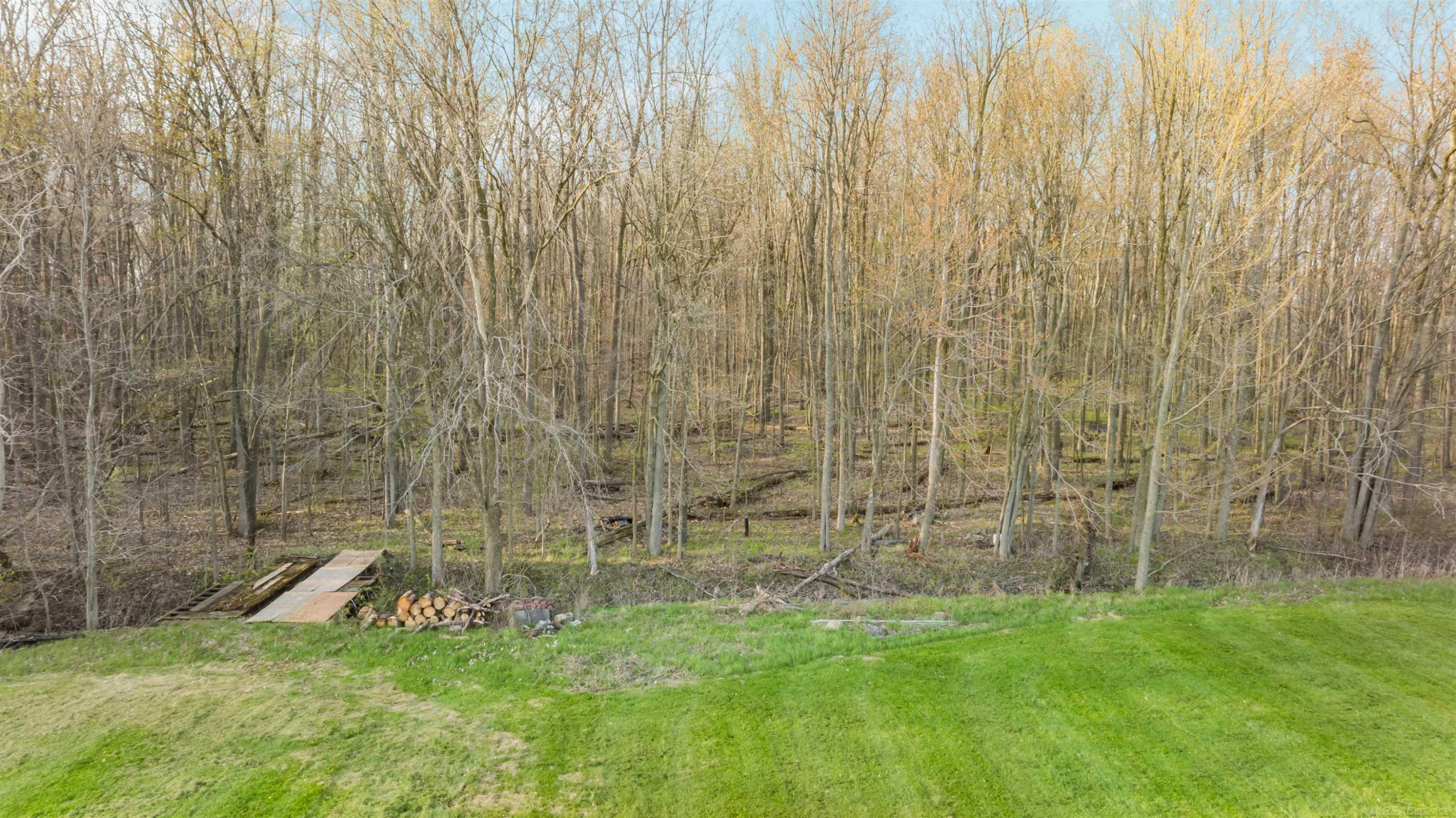 13148 Hunt Road, MI — Photo 50