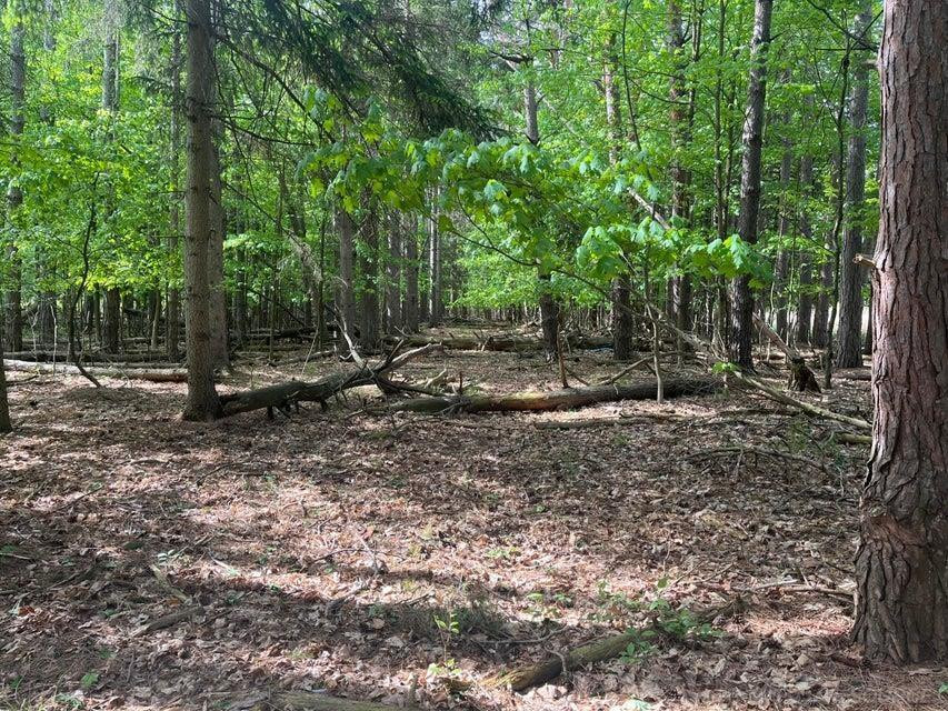00 Mortimer Line Road, Croswell, MI 48422
