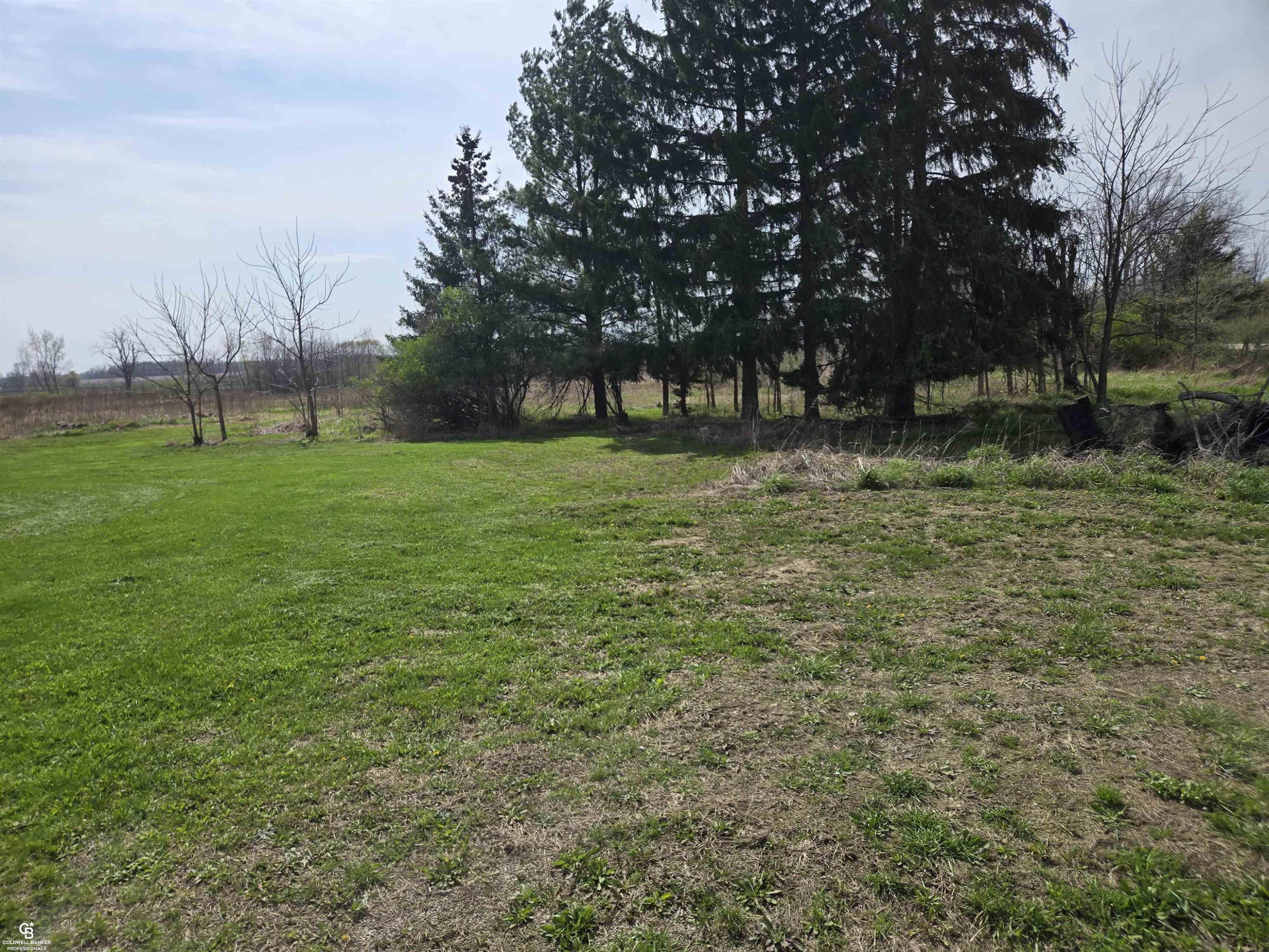 16433 Dudley Road, MI 48416 — Photo 4