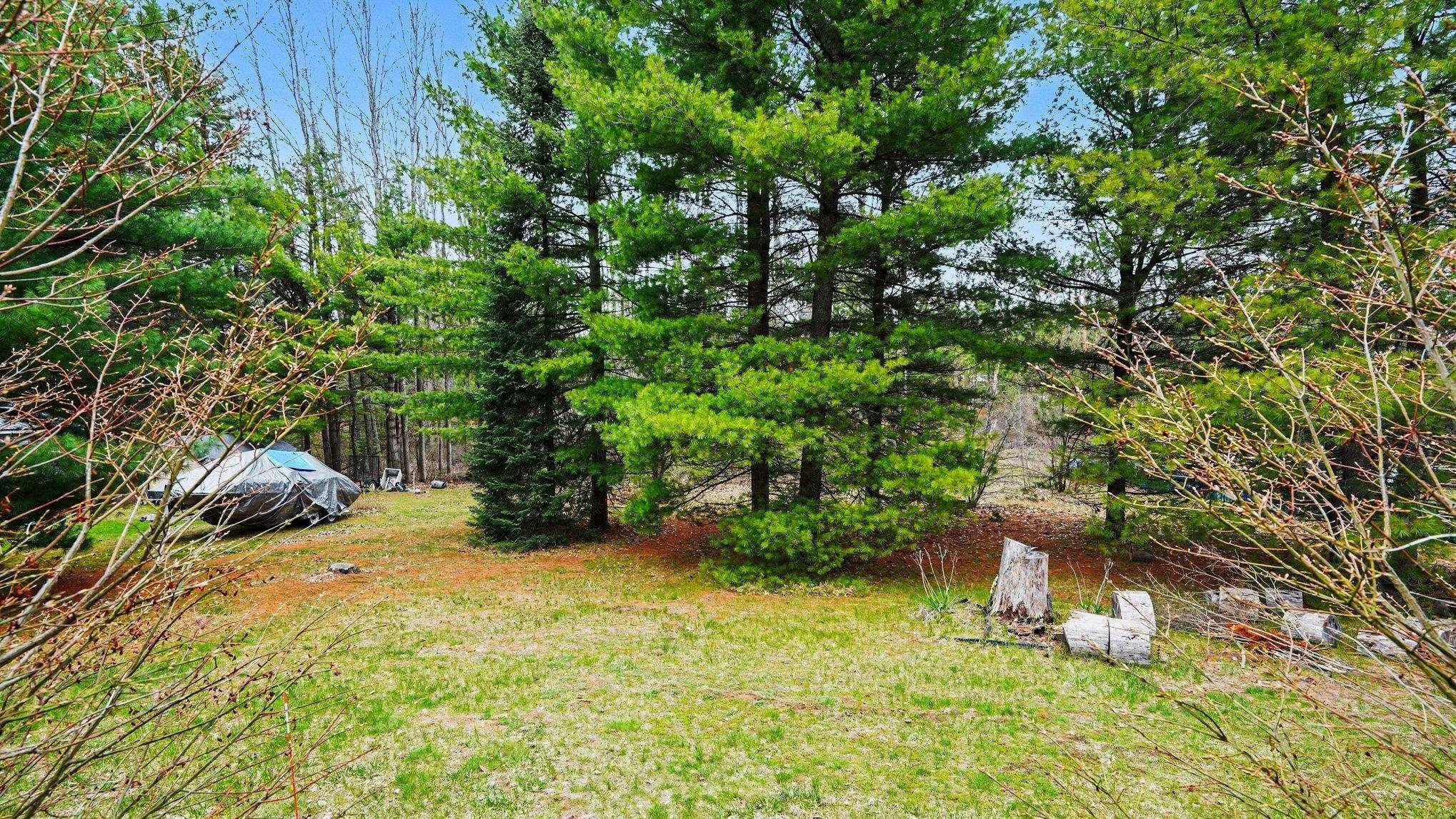 1553 Mills Road, Prescott, MI 48756 — Photo 15