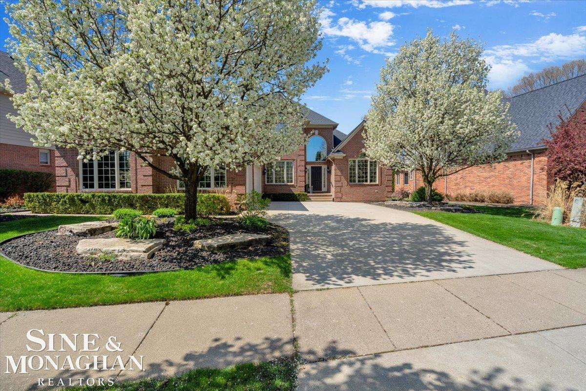 7303 William Drive, Shelby Twp, MI 48316 — Photo 5
