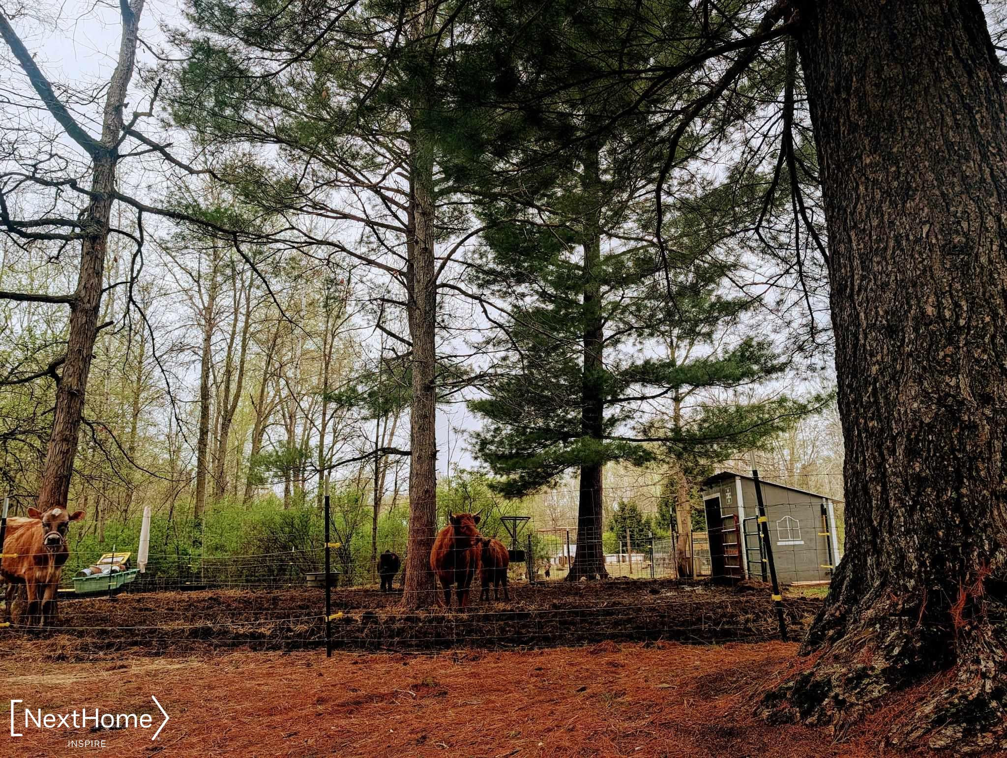 5720 Chambers Road, MI 48744 — Photo 34