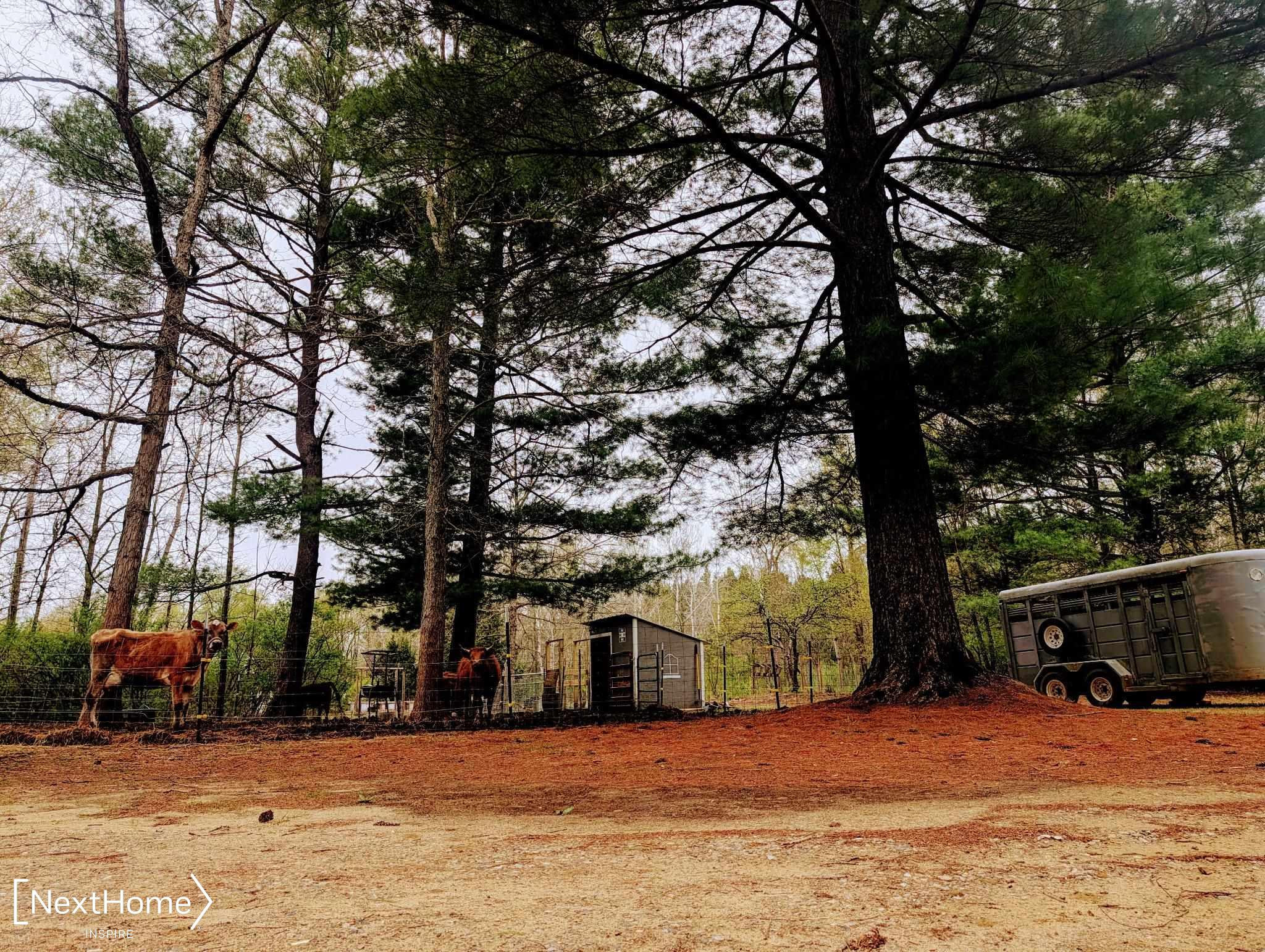 5720 Chambers Road, MI 48744 — Photo 45