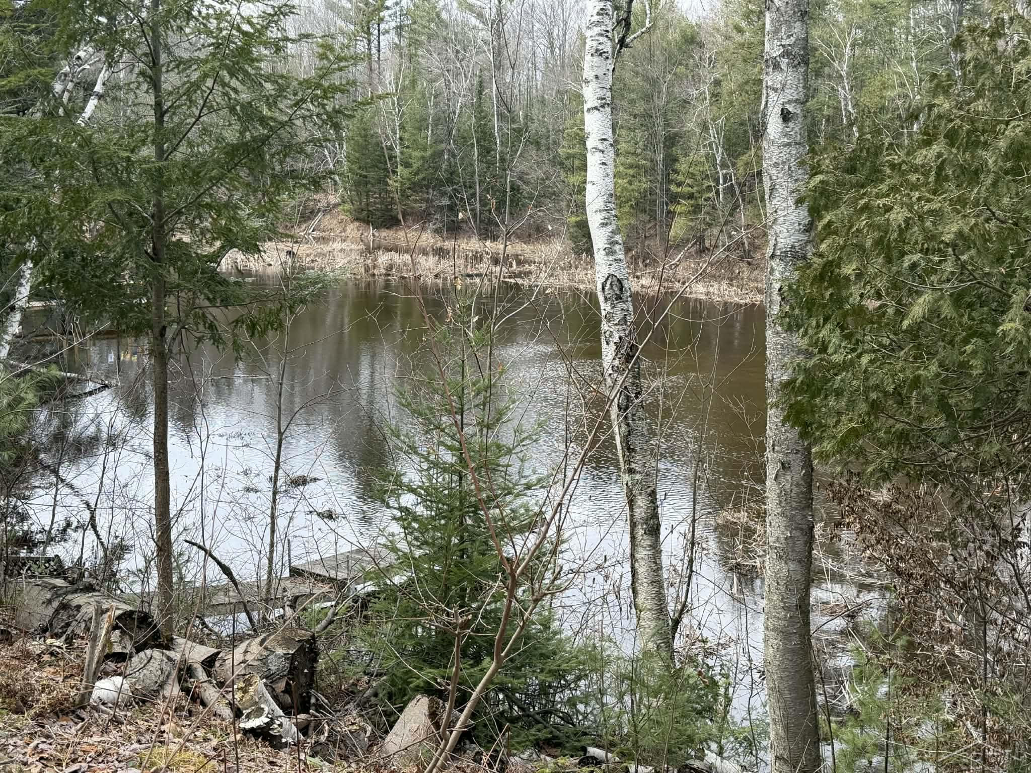 2823 River Ridge Road, Alger, MI 48610 — Photo 10
