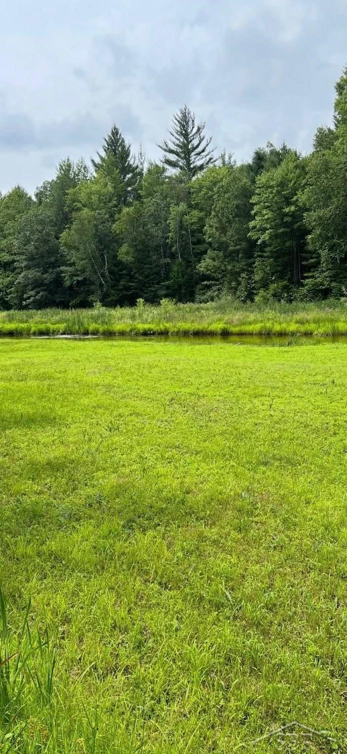 2823 River Ridge Road, Alger, MI 48610 — Photo 14