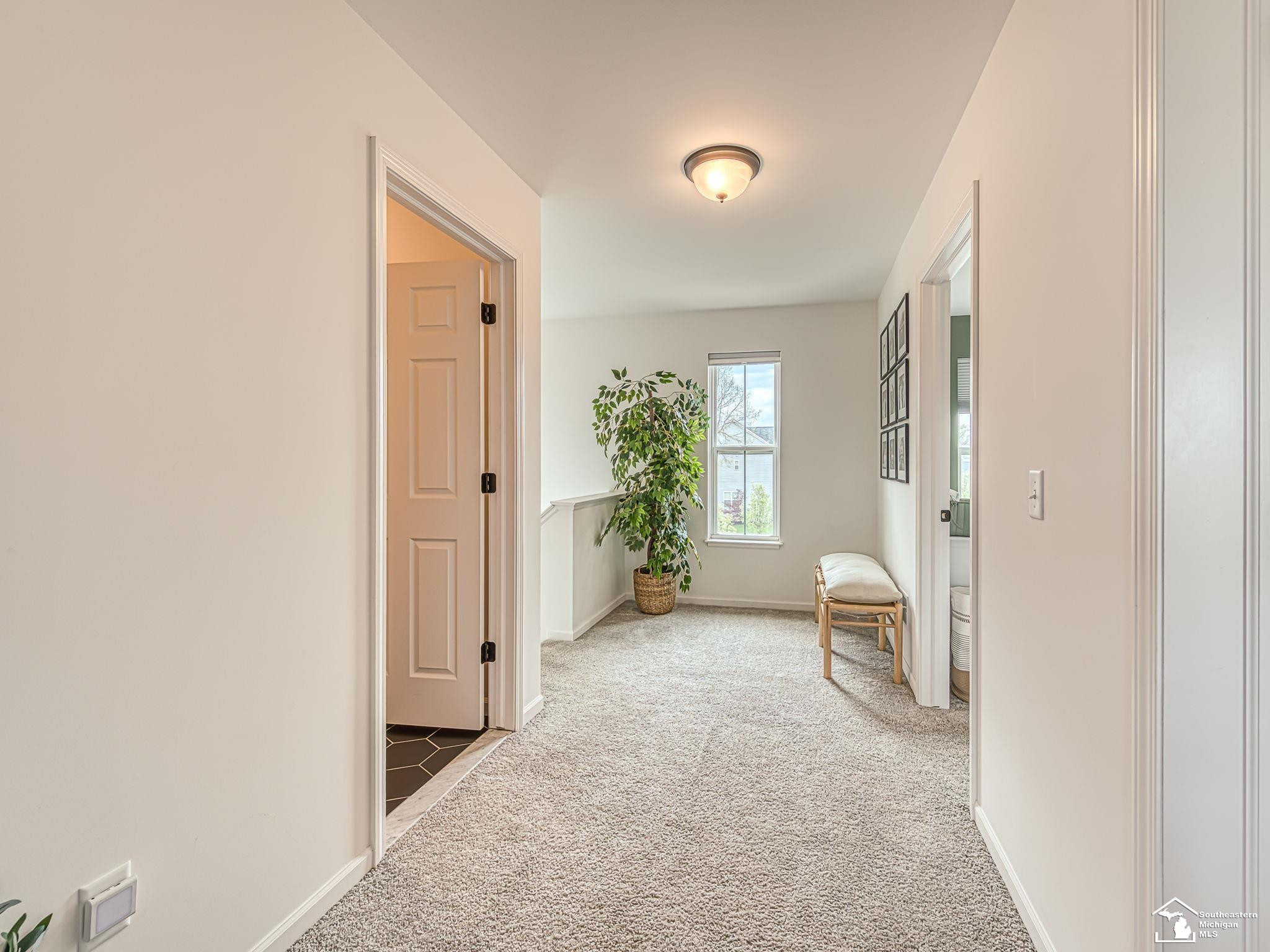 746 Forest Lane, Dundee, MI 48131 — Photo 3
