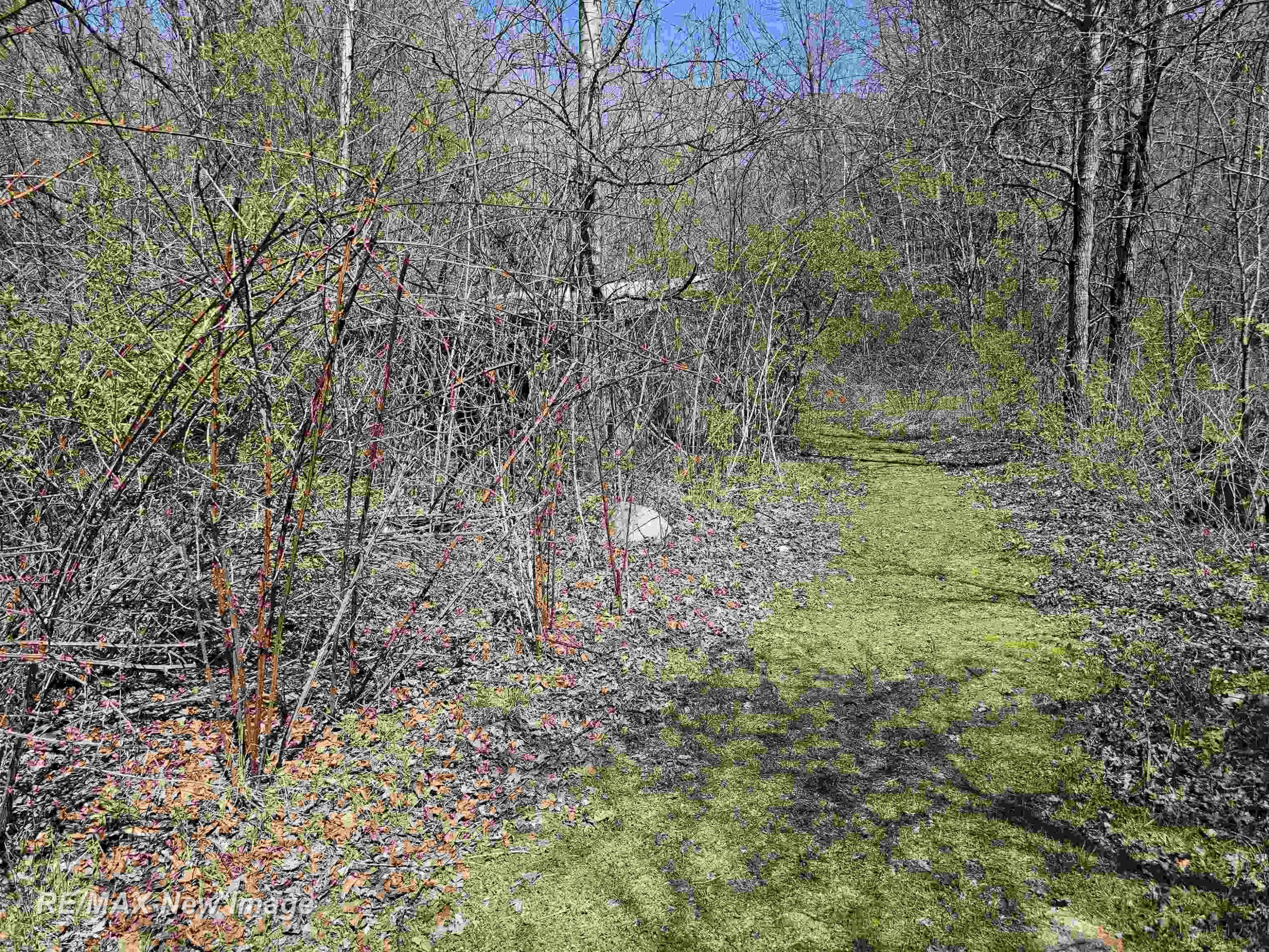 6135 Fort Road, Birch Run, MI 48415 — Photo 39