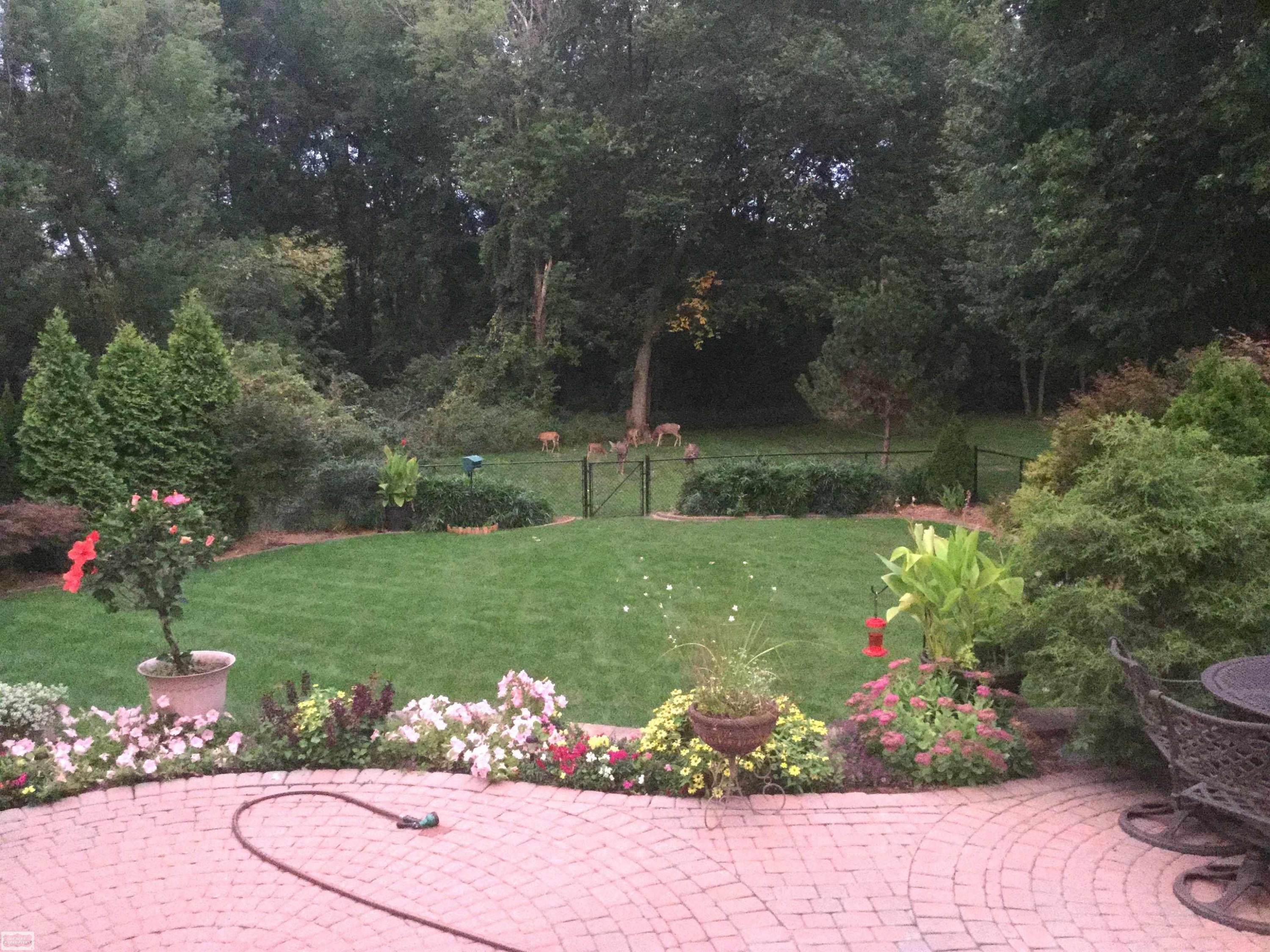 43243 RIVERWAY Drive, Clinton Twp, MI 48038 — Photo 37