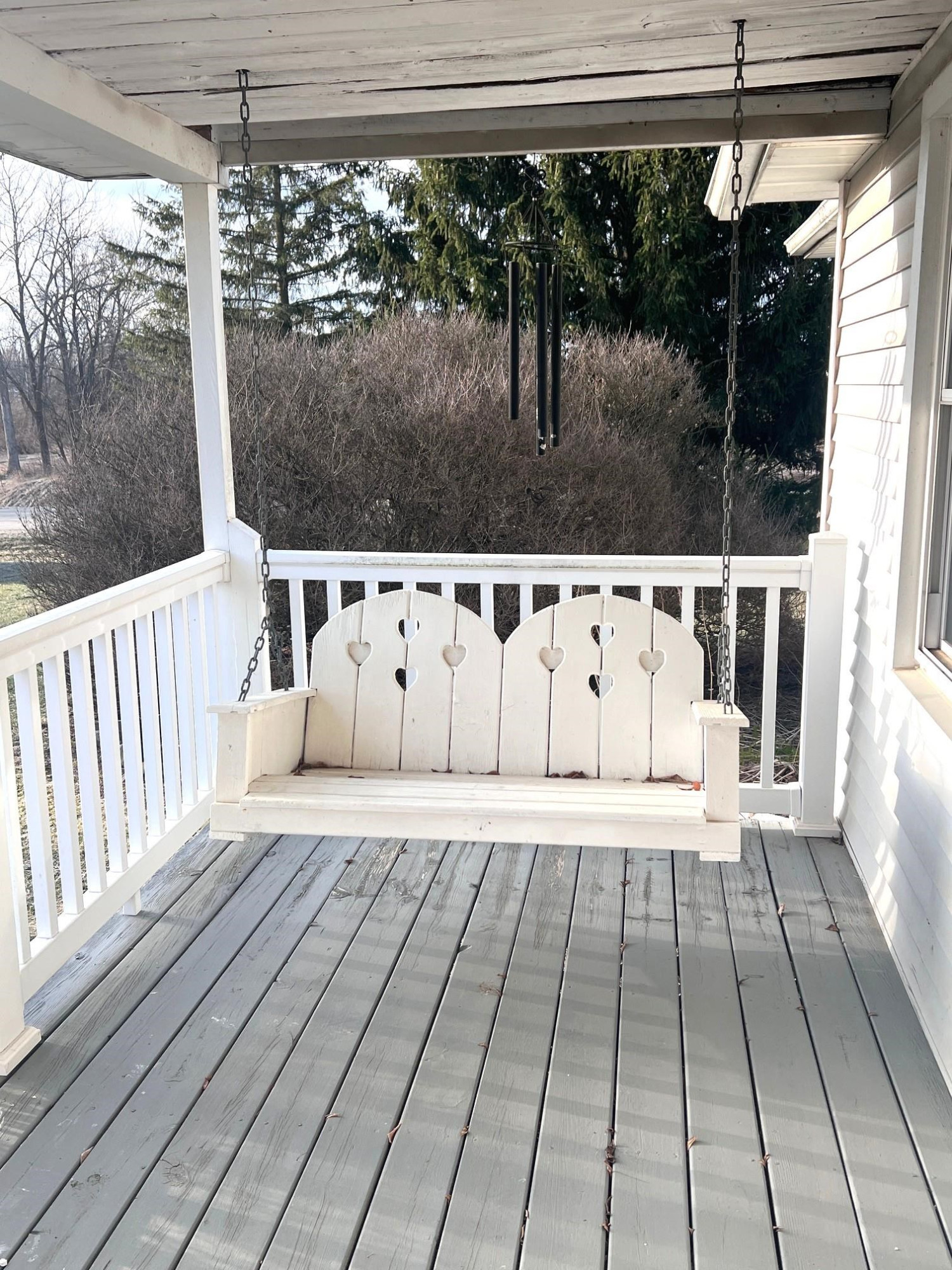 491 Tyrrell Road, Morrice, MI 48857 — Photo 4