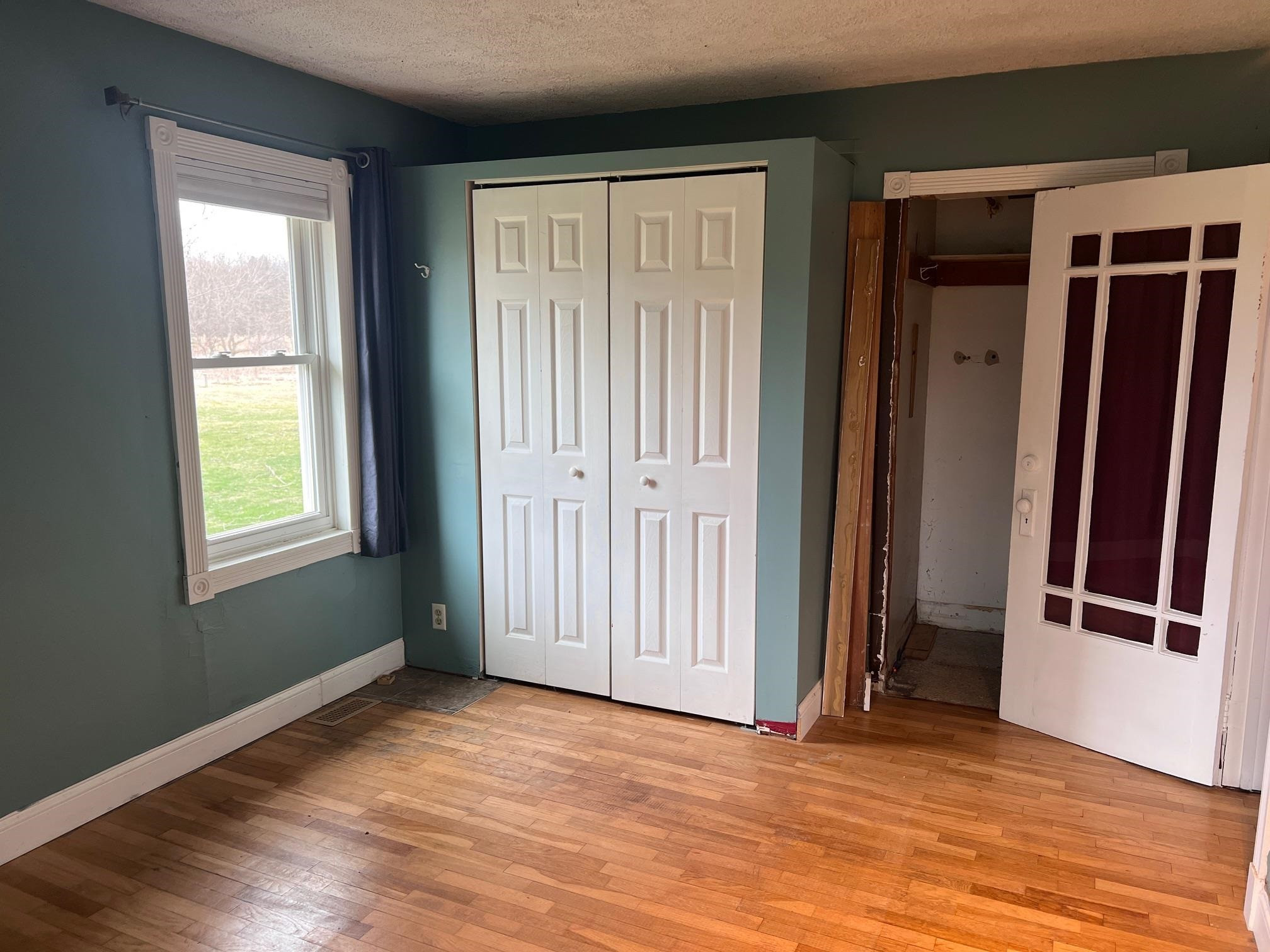 491 Tyrrell Road, Morrice, MI 48857 — Photo 16