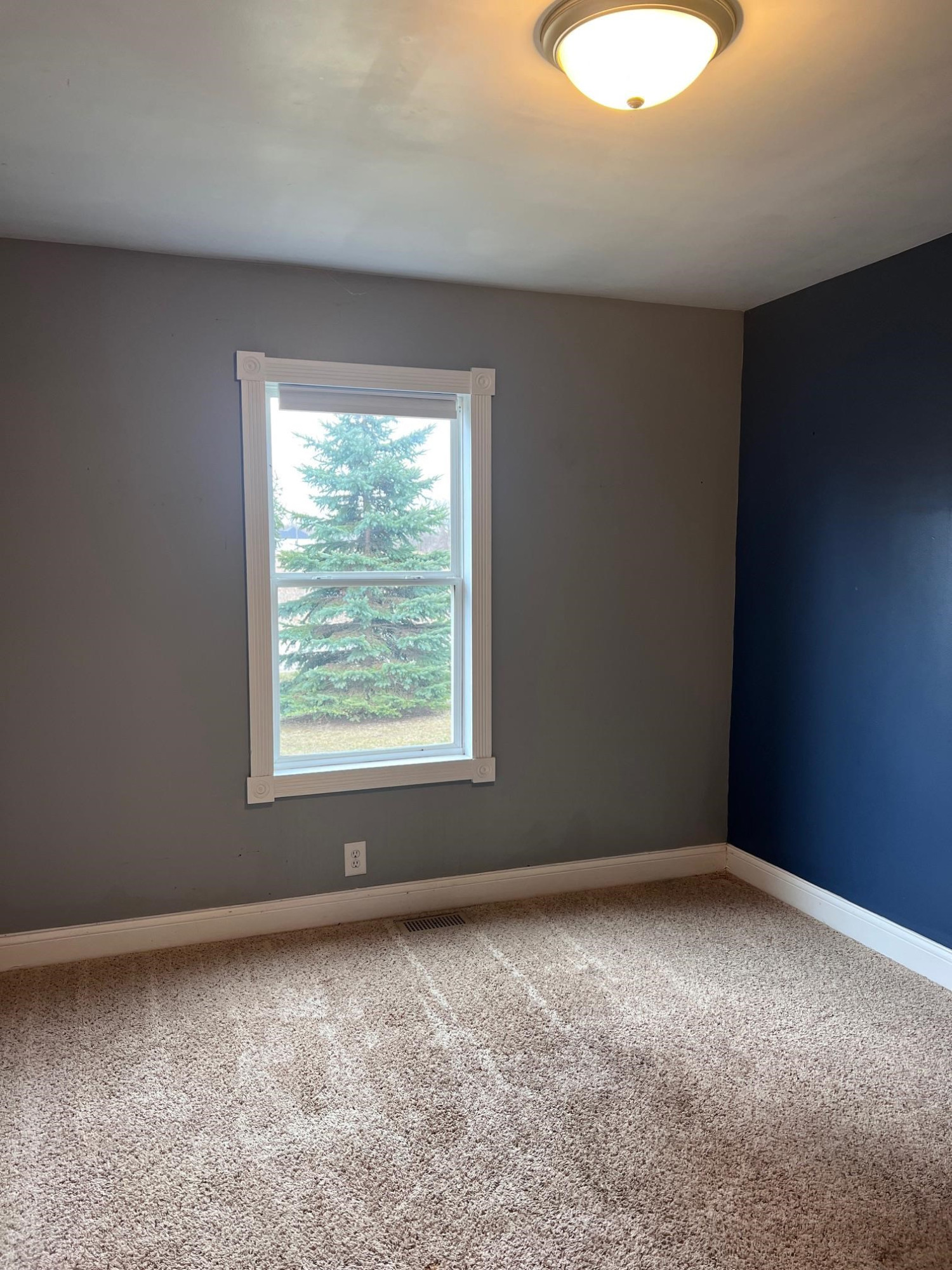 491 Tyrrell Road, Morrice, MI 48857 — Photo 17