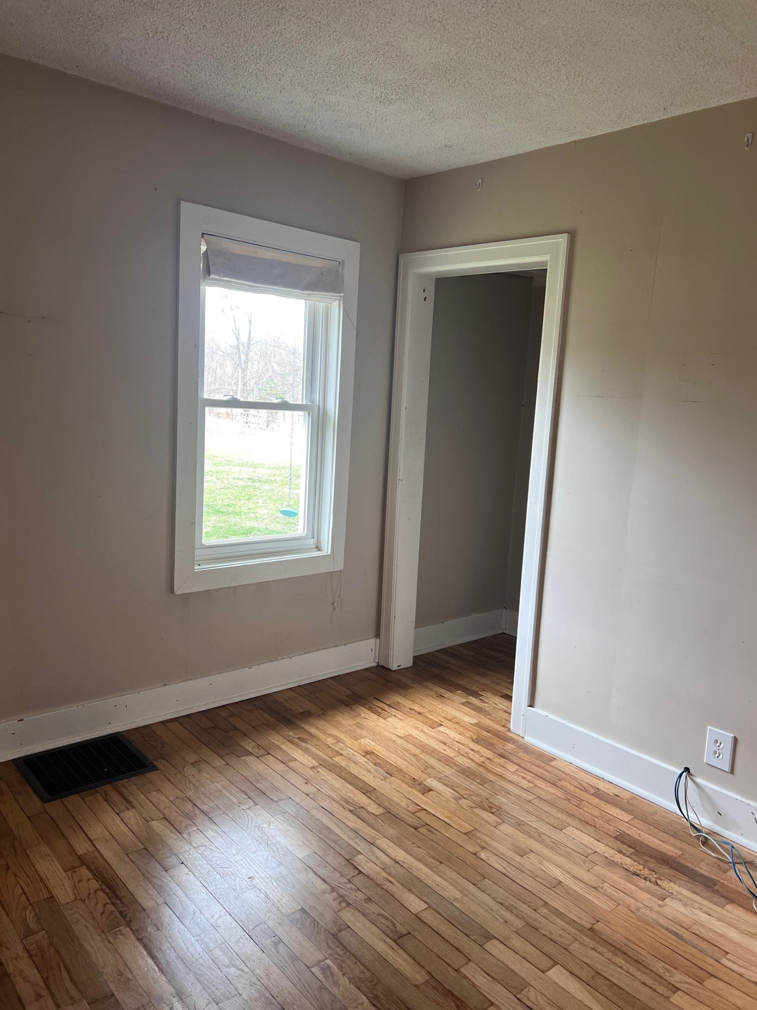 491 Tyrrell Road, Morrice, MI 48857 — Photo 18