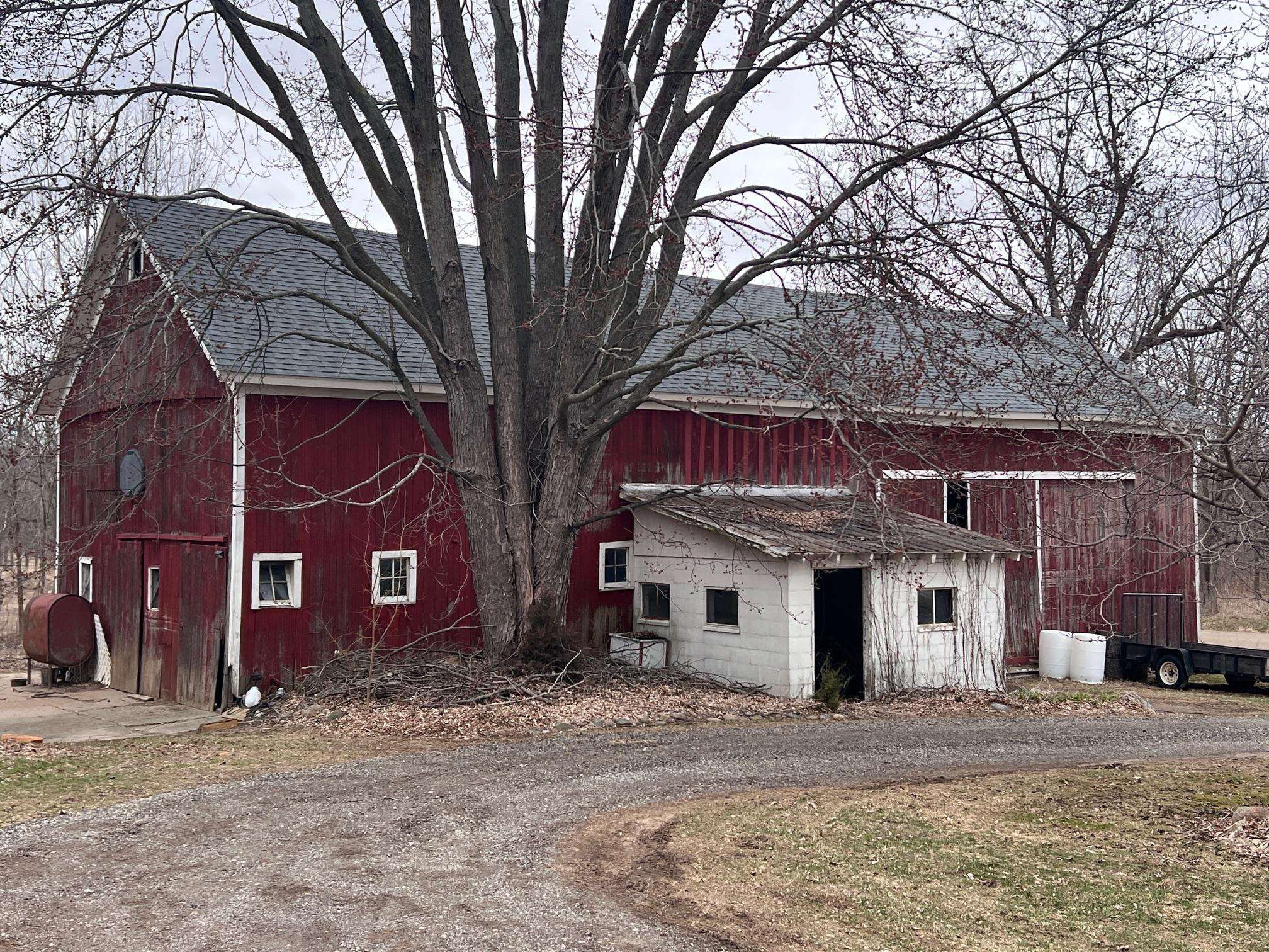 491 Tyrrell Road, Morrice, MI 48857 — Photo 28