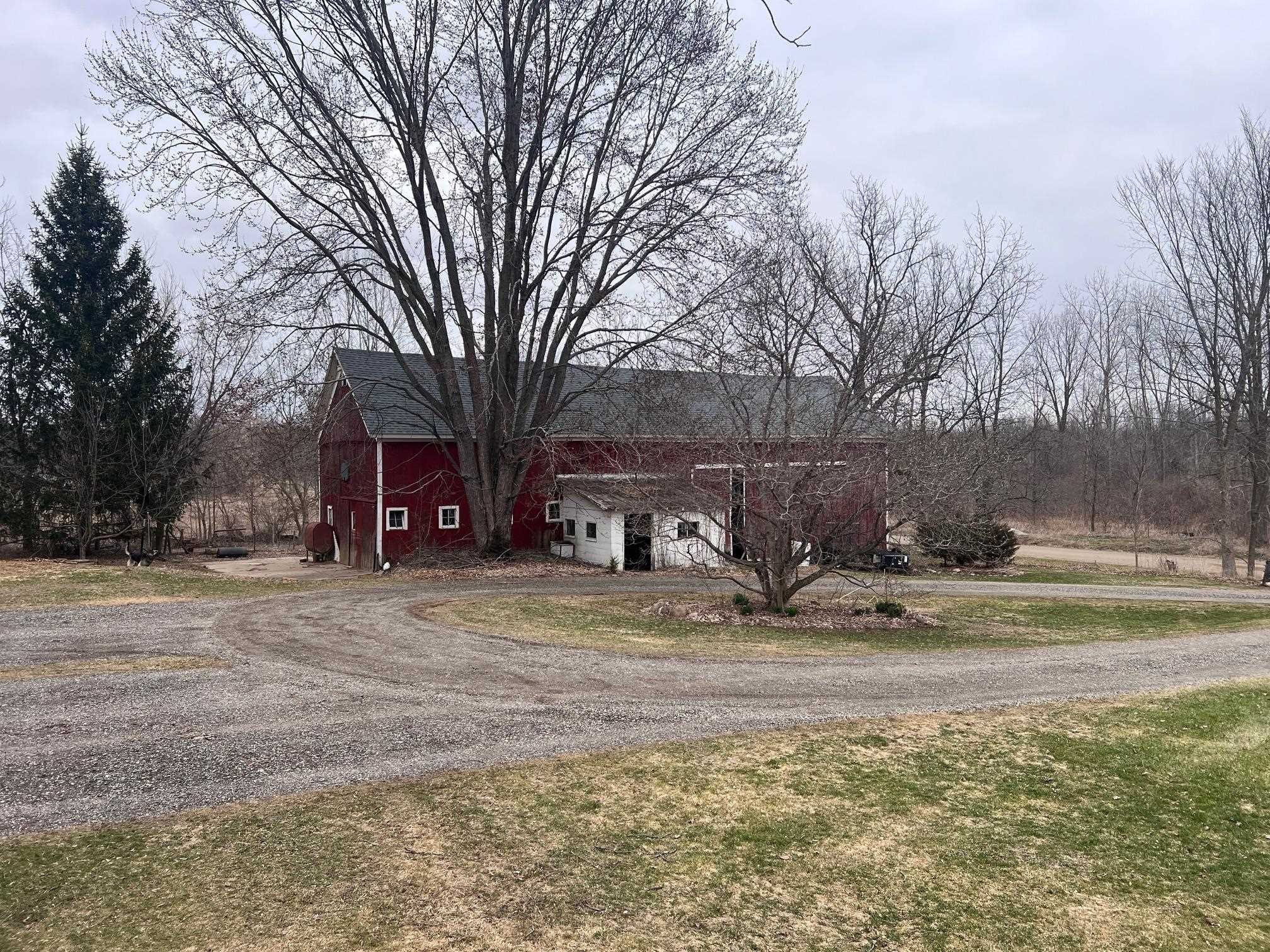 491 Tyrrell Road, Morrice, MI 48857 — Photo 30