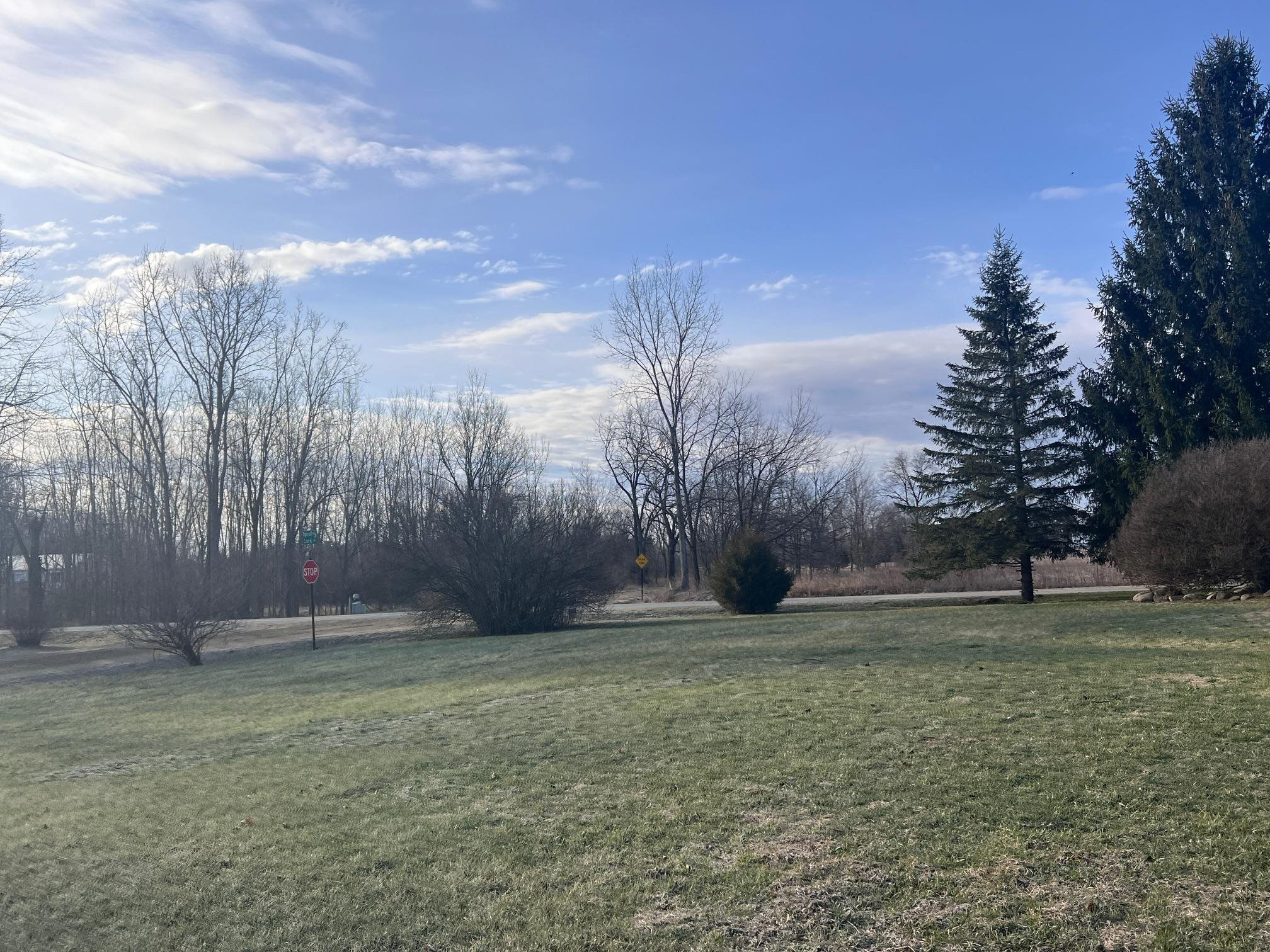 491 Tyrrell Road, Morrice, MI 48857 — Photo 31