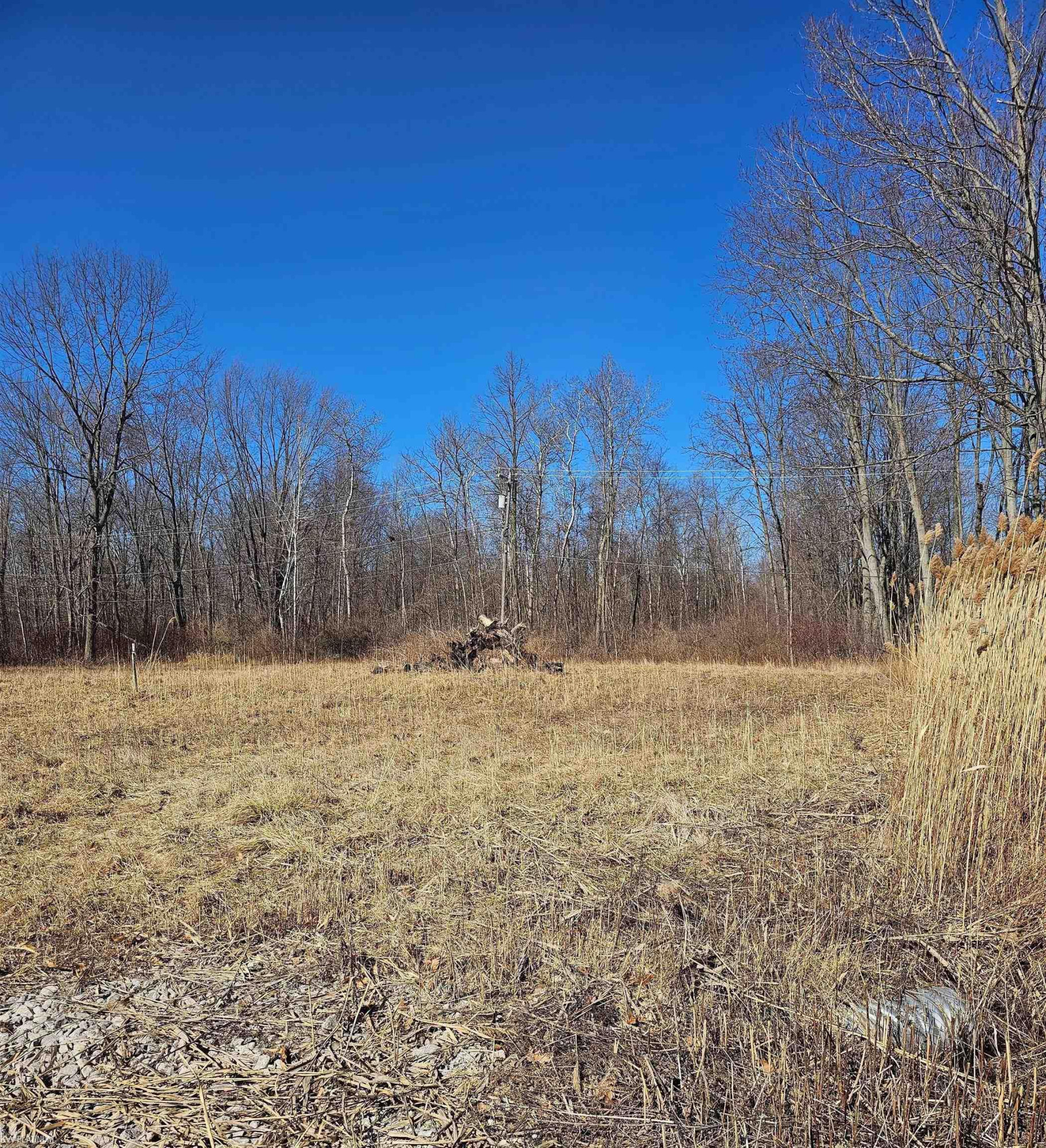 3260 N shoreview Drive, MI 48059