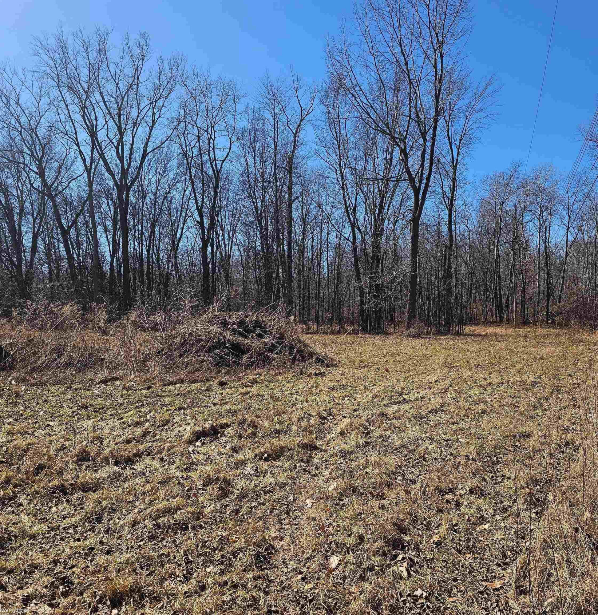 3260 N shoreview Drive, MI 48059 — Photo 3