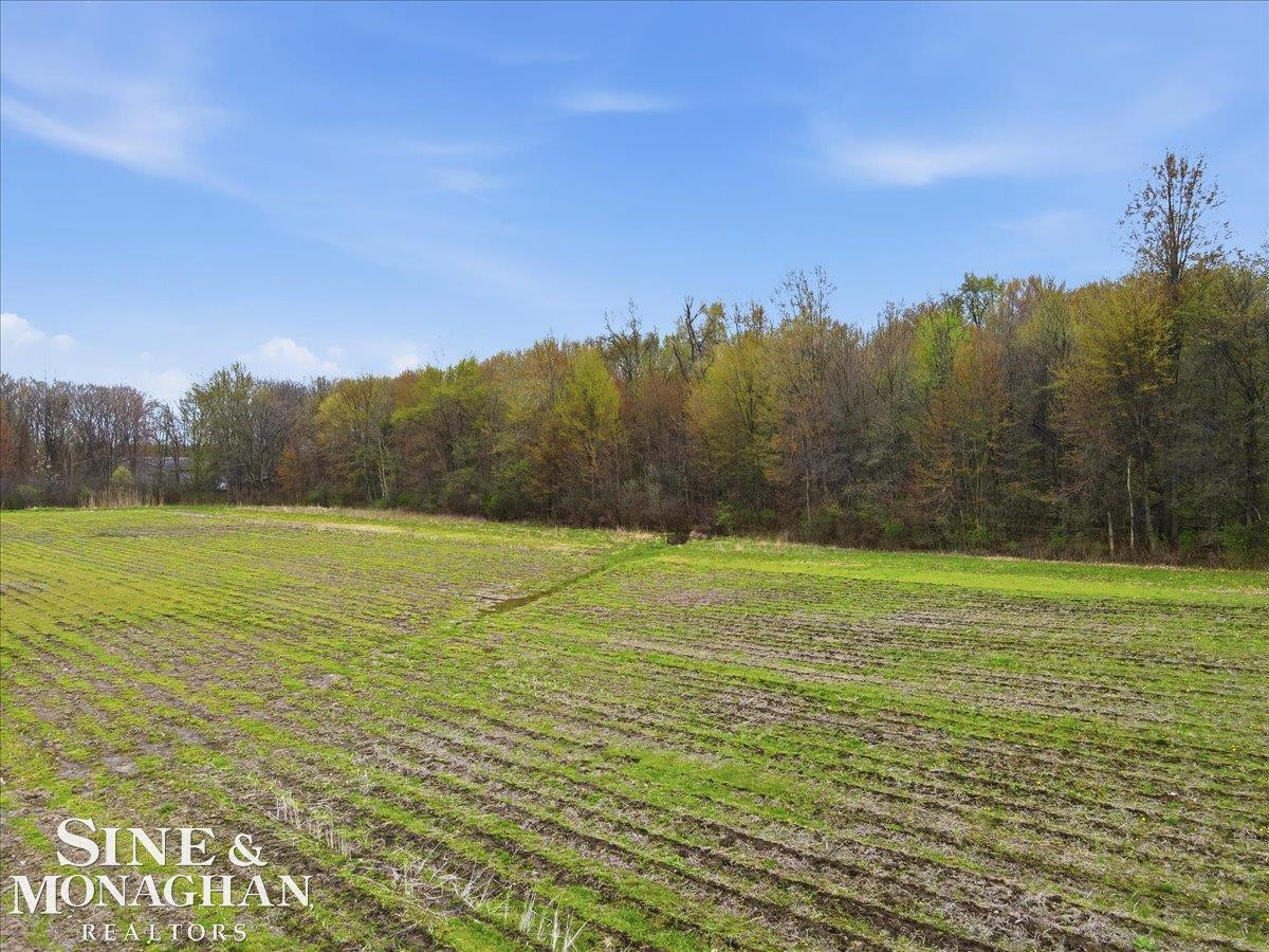VL Meisner Road, MI — Photo 11