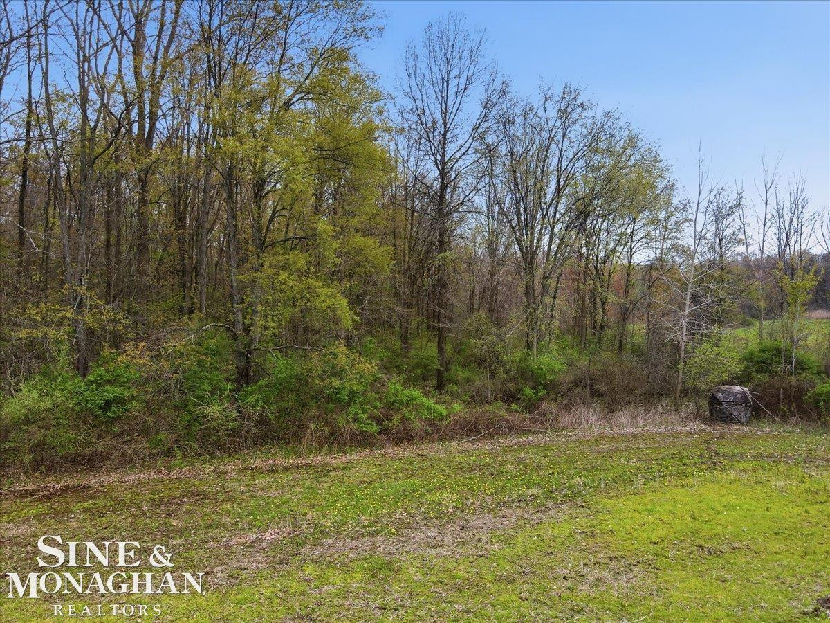 VL Meisner Road, MI — Photo 15