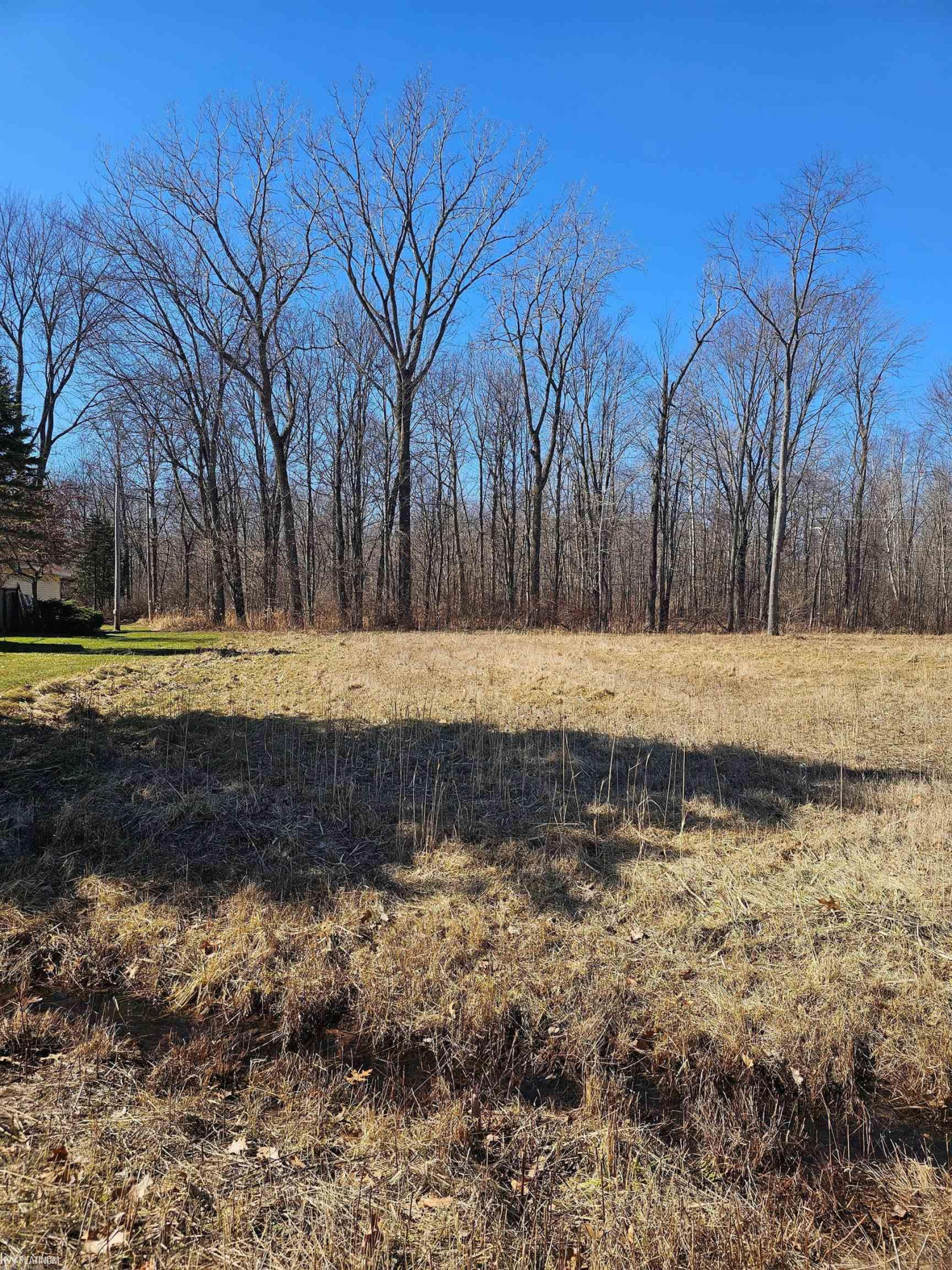 5843 San Juan Drive, MI 48059