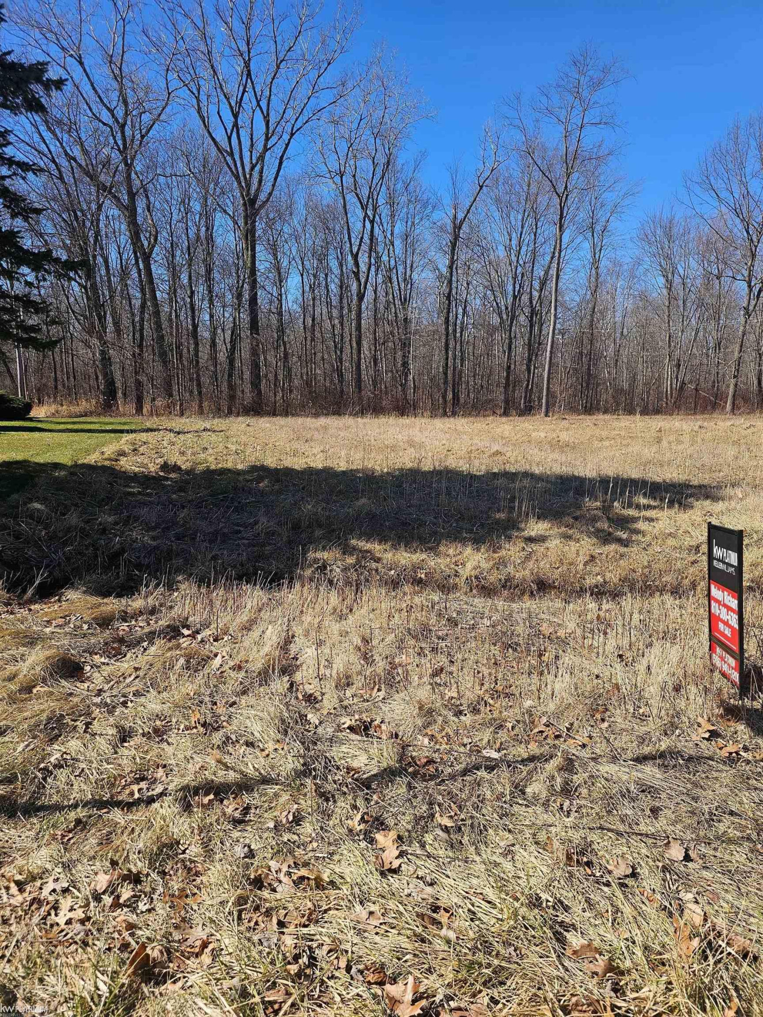 5843 San Juan Drive, MI 48059 — Photo 2
