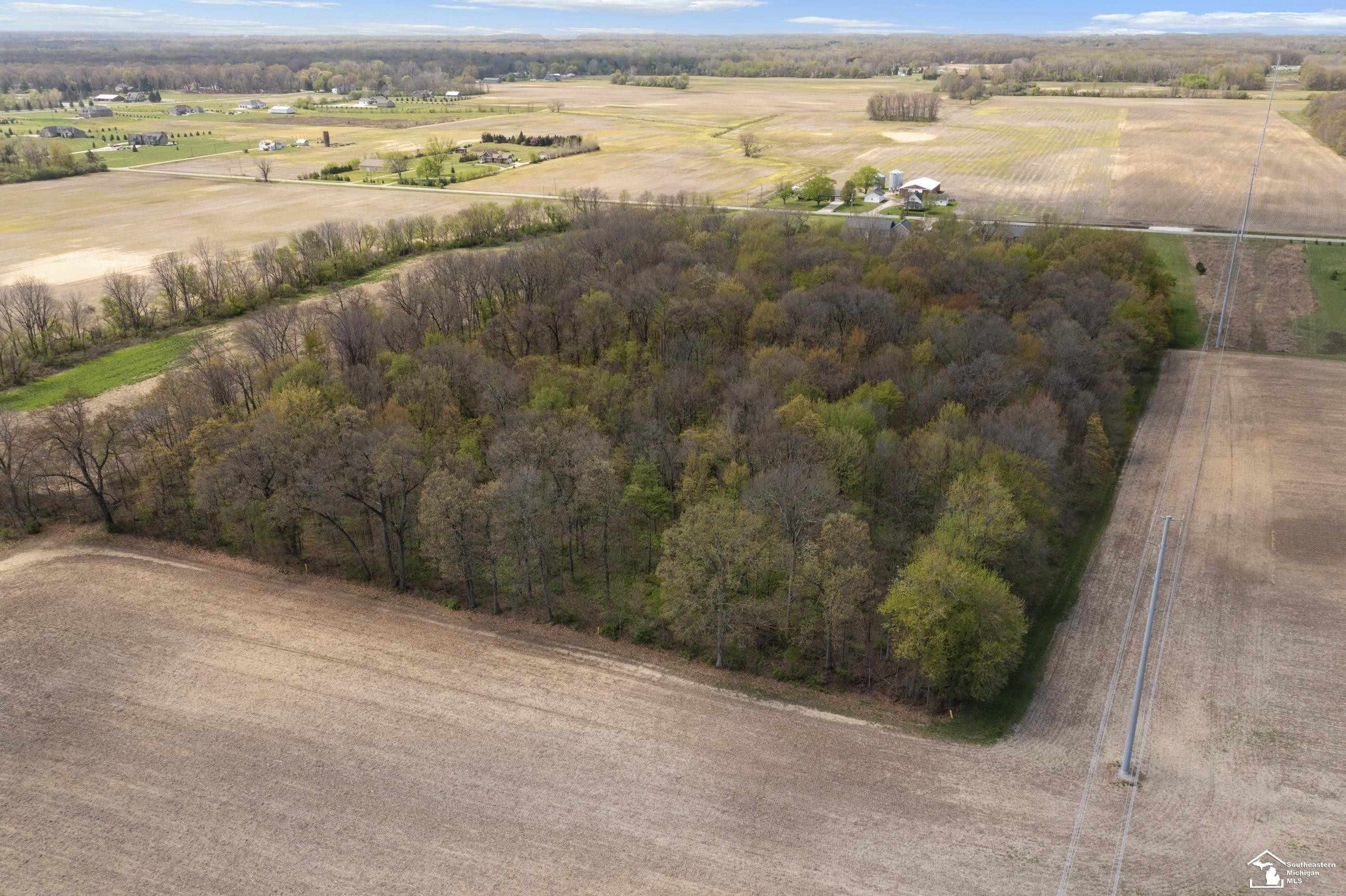 10260 Jackman Road, Temperance, MI 48182 — Photo 53