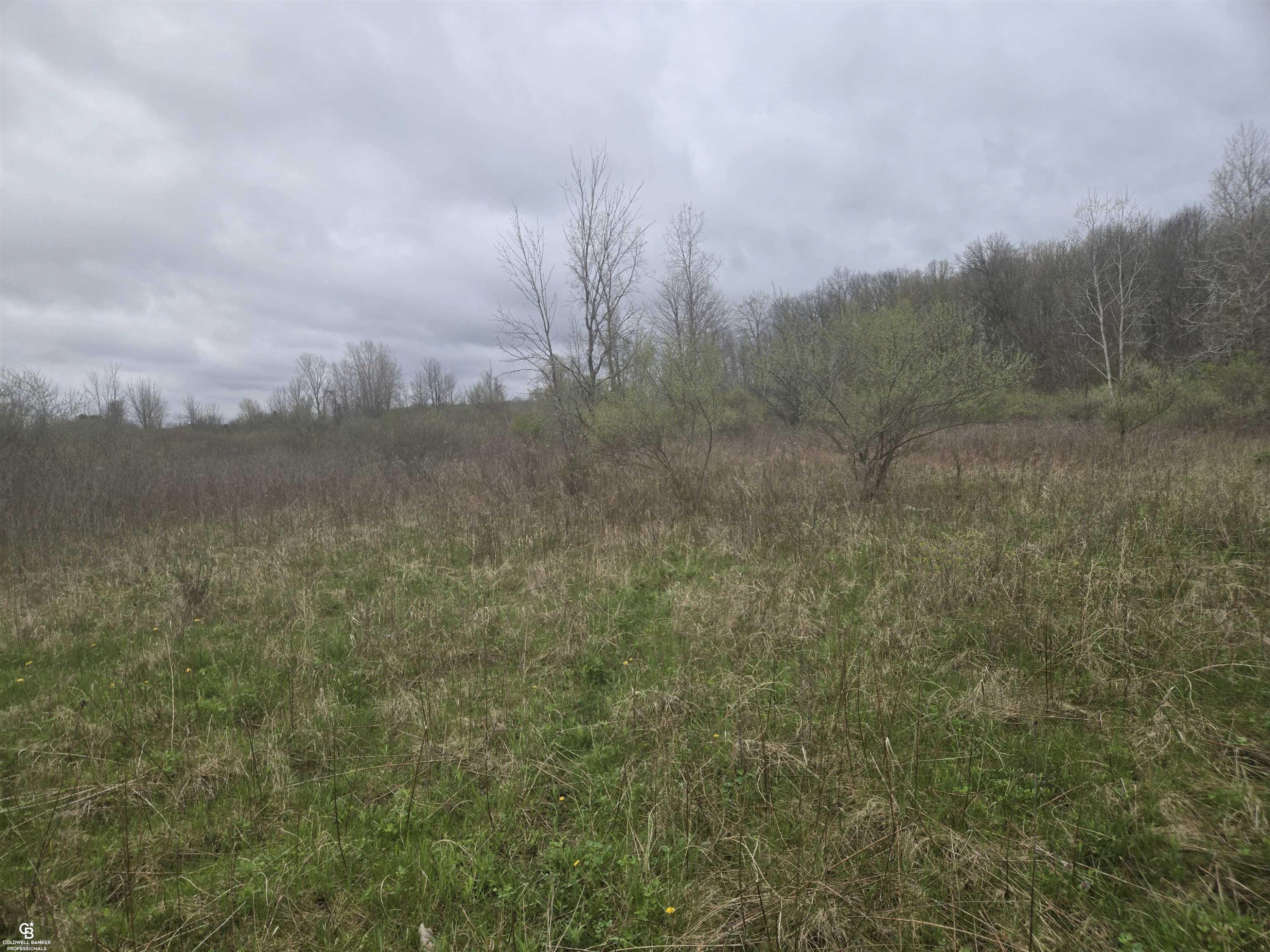 5637 Metcalf VL Road, MI 48049 — Photo 7