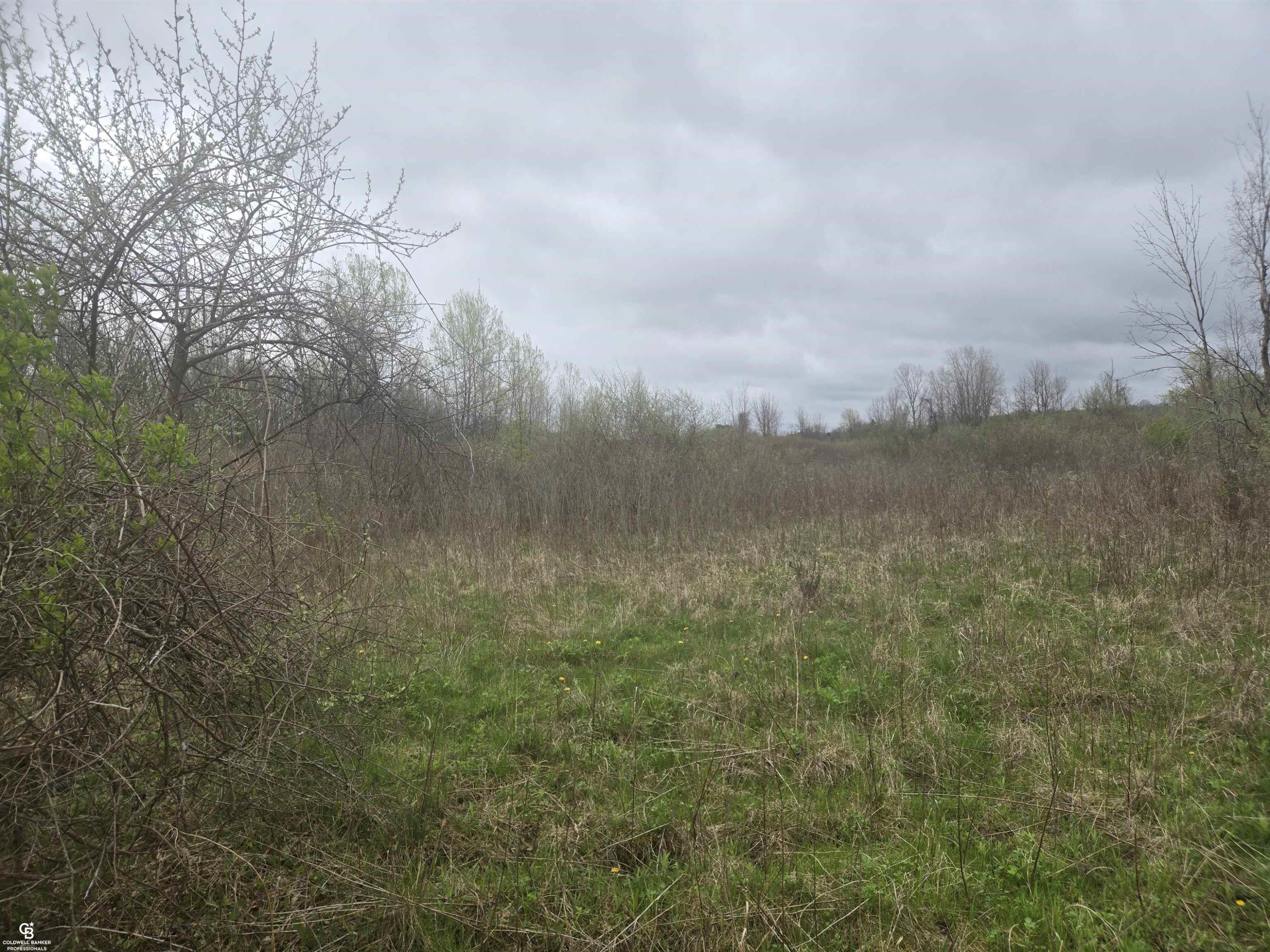5637 Metcalf VL Road, MI 48049 — Photo 8