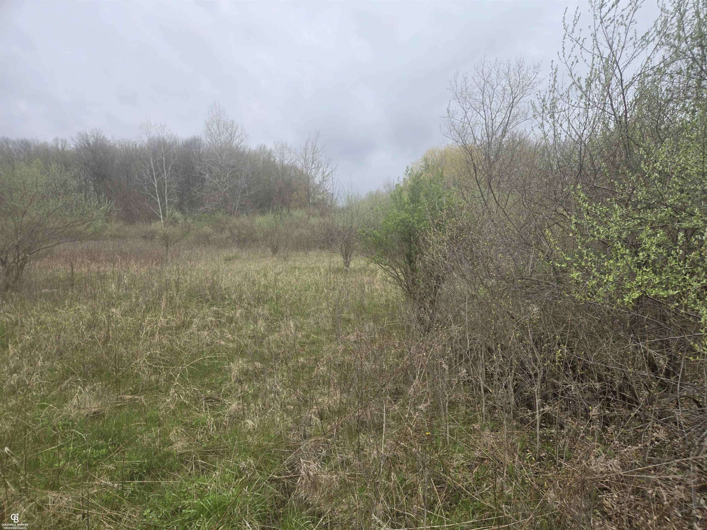 5637 Metcalf VL Road, MI 48049 — Photo 9