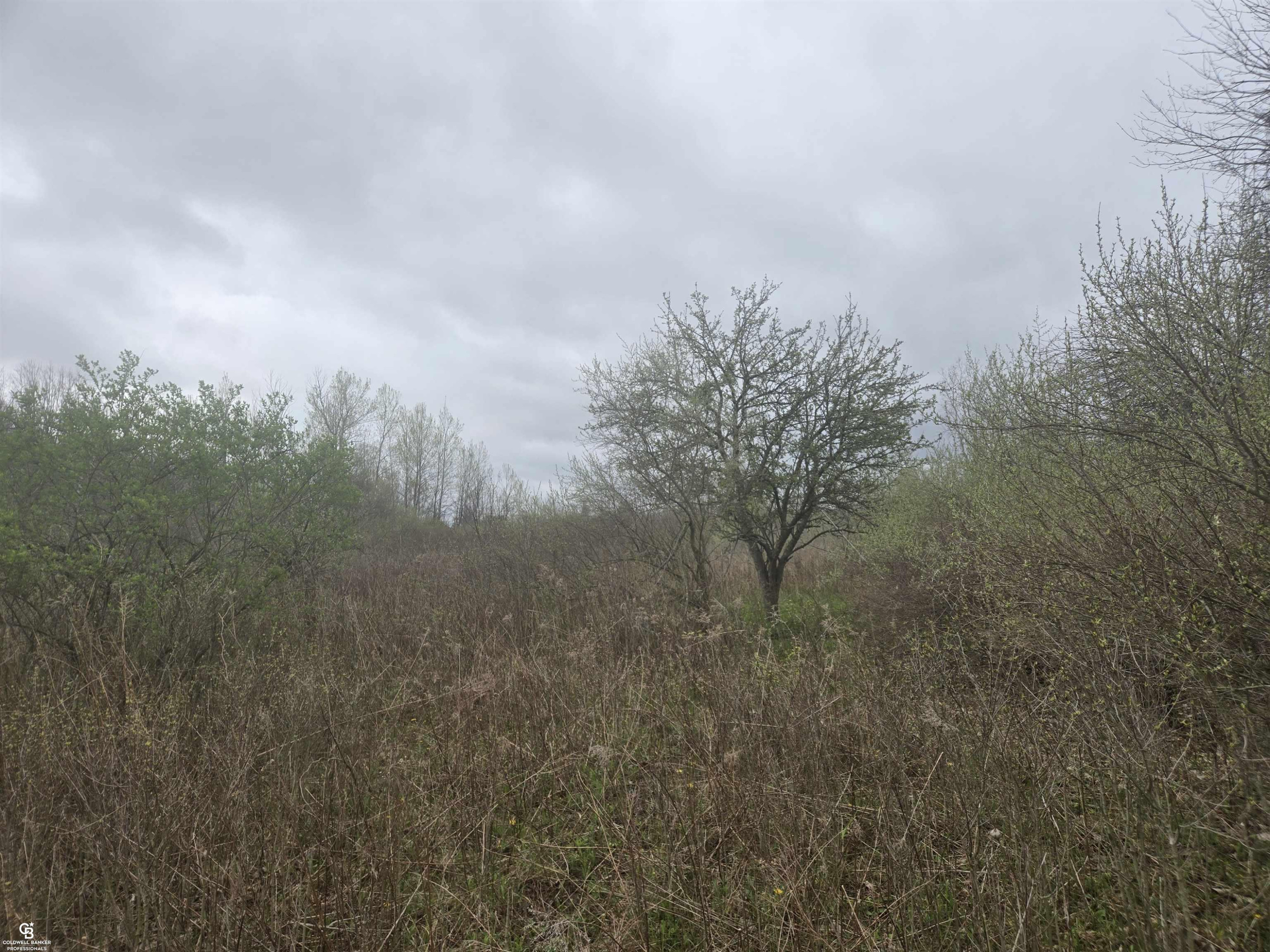 5637 Metcalf VL Road, MI 48049 — Photo 10