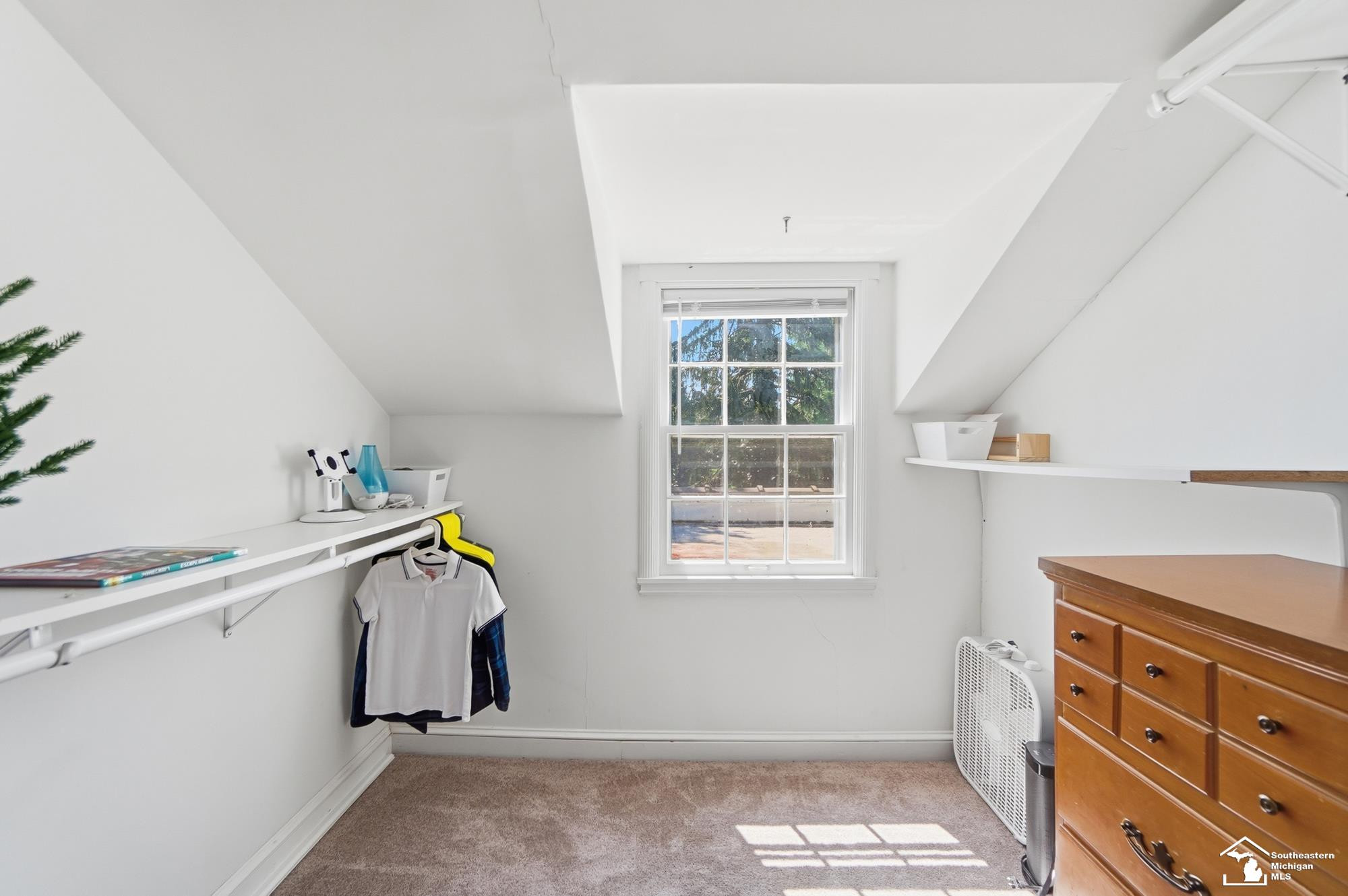 325 N Scott Street, Adrian, MI 49221 — Photo 58