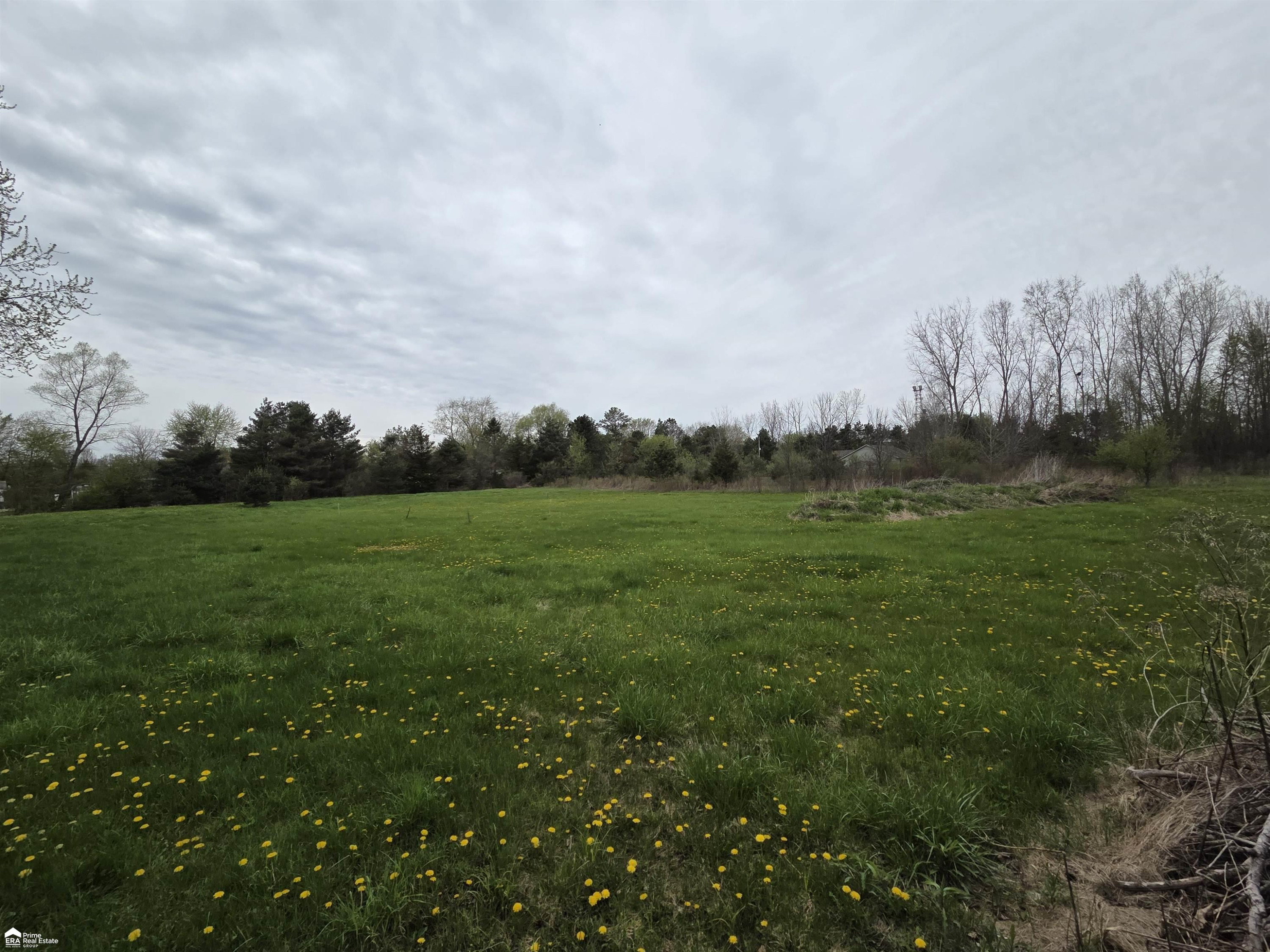 11144 N Lewis Road, Clio, MI 48420