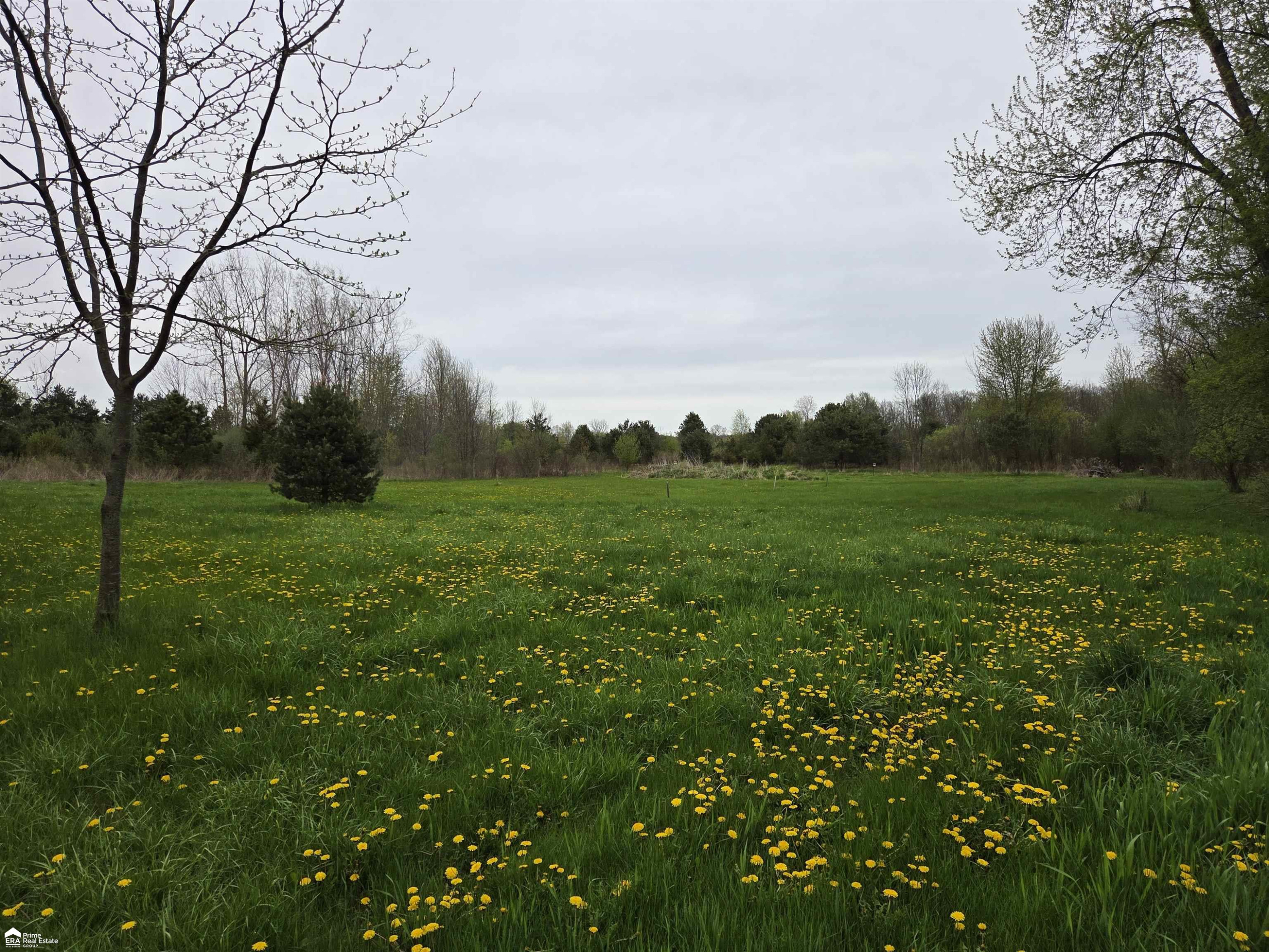11144 N Lewis Road, Clio, MI 48420 — Photo 3