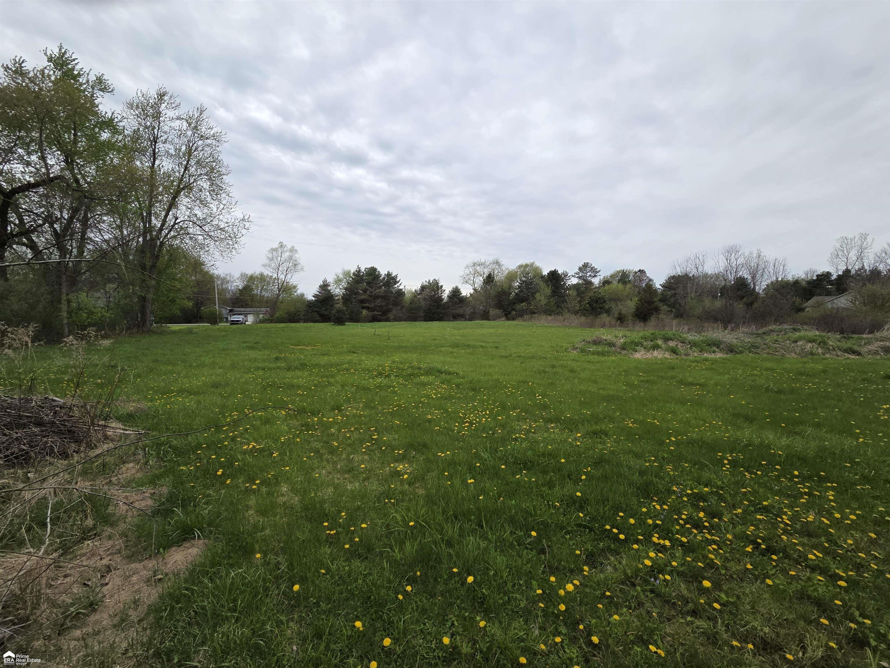 11144 N Lewis Road, Clio, MI 48420 — Photo 4