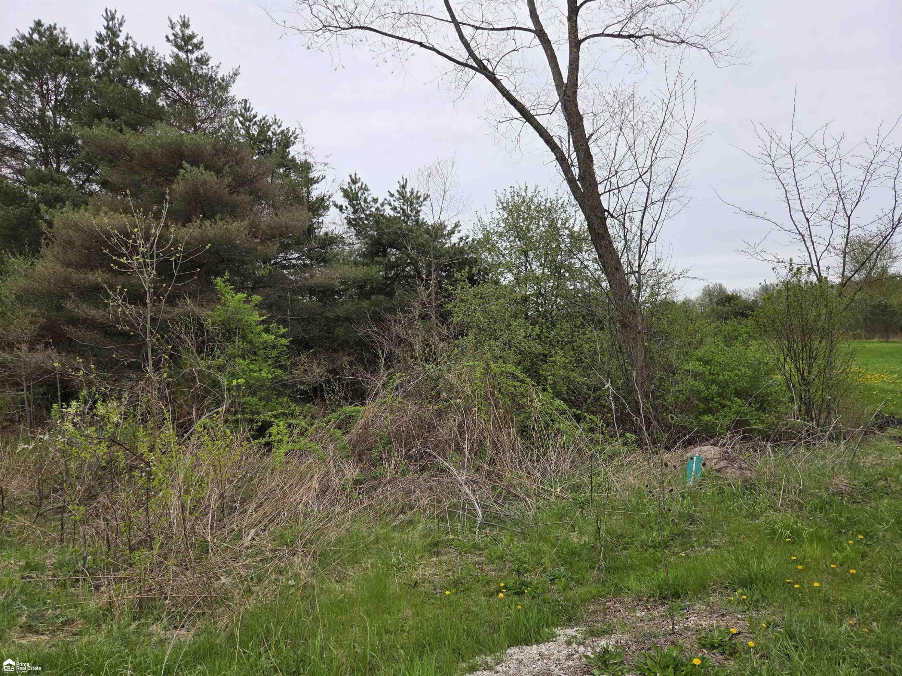 11144 N Lewis Road, Clio, MI 48420 — Photo 5