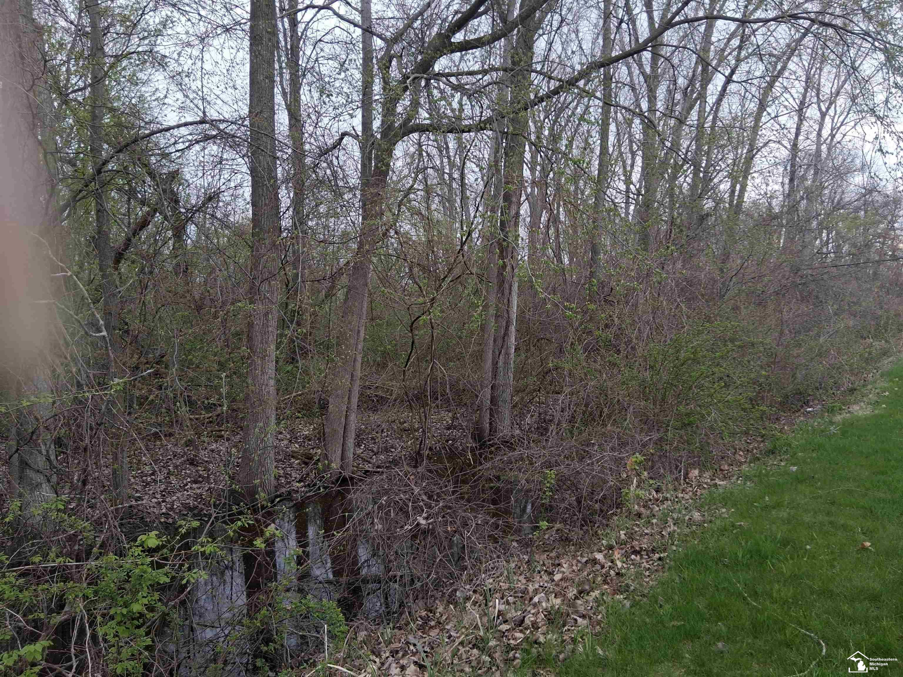 4601 Sycamore Road, Newport, MI 48161 — Photo 9