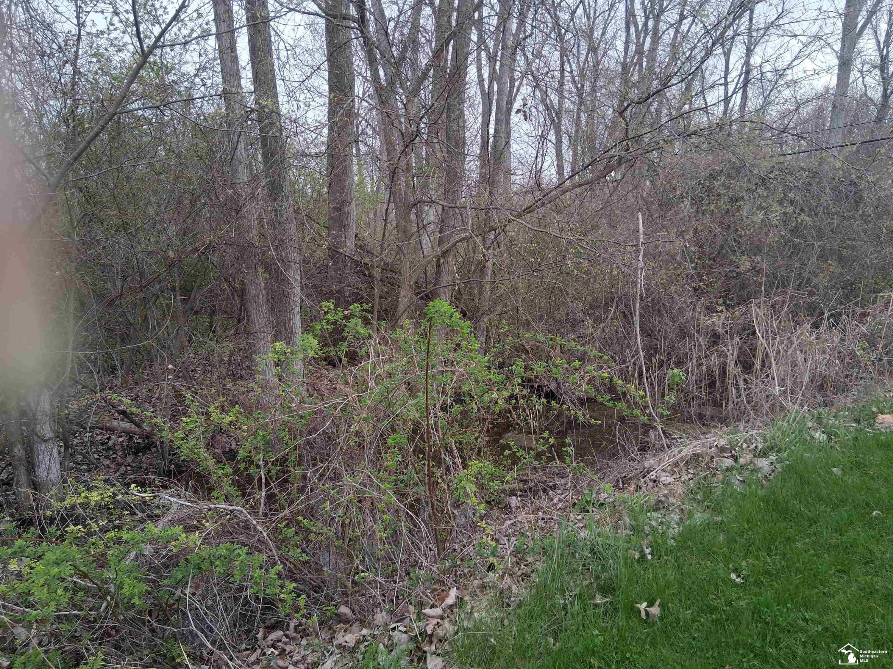 4601 Sycamore Road, Newport, MI 48161 — Photo 11